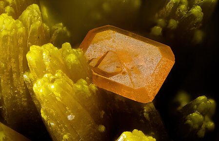 Pyromorphite on Baryte and with Wulfenite. 