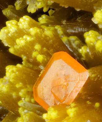 Pyromorphite on Baryte and with Wulfenite. 