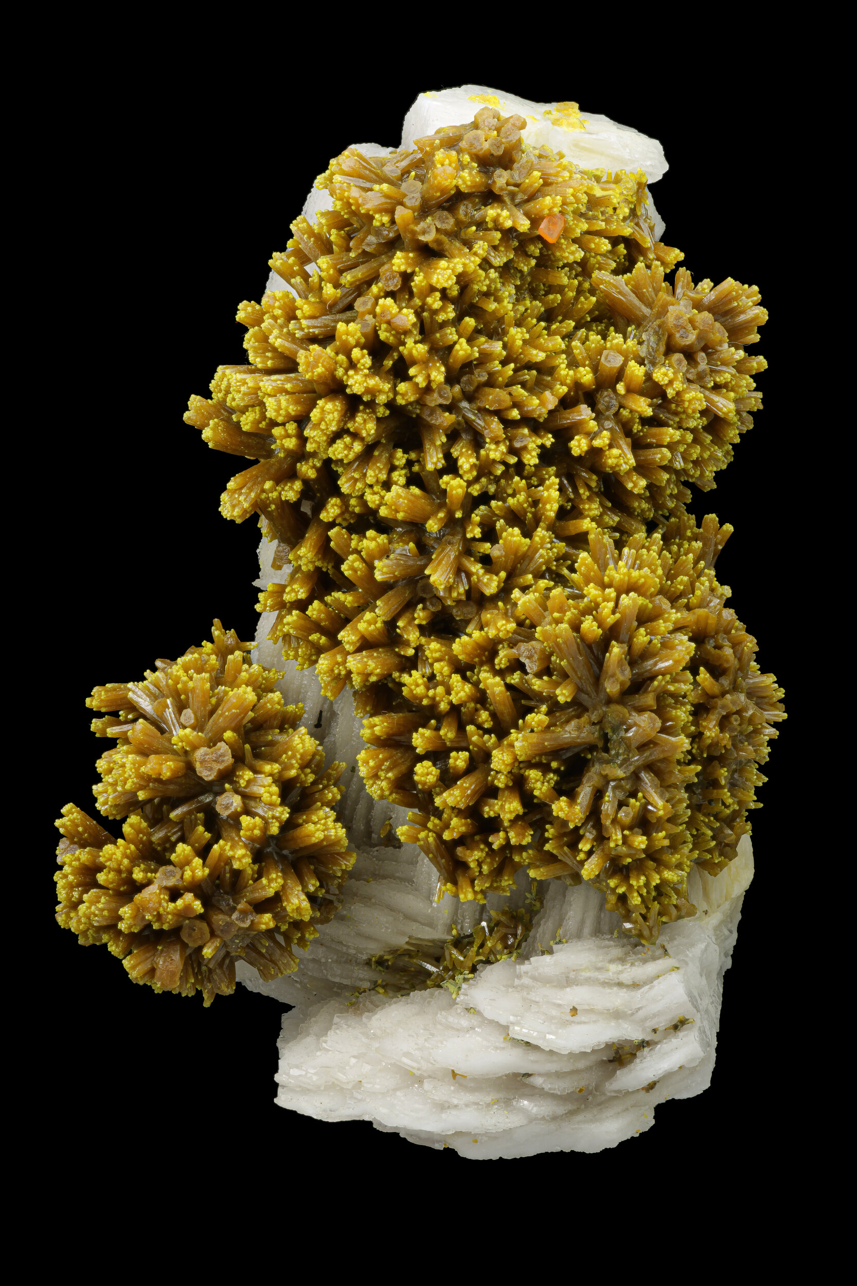 specimens/s_imagesASN2/Pyromorphite-TPQ46ASN2f.jpg