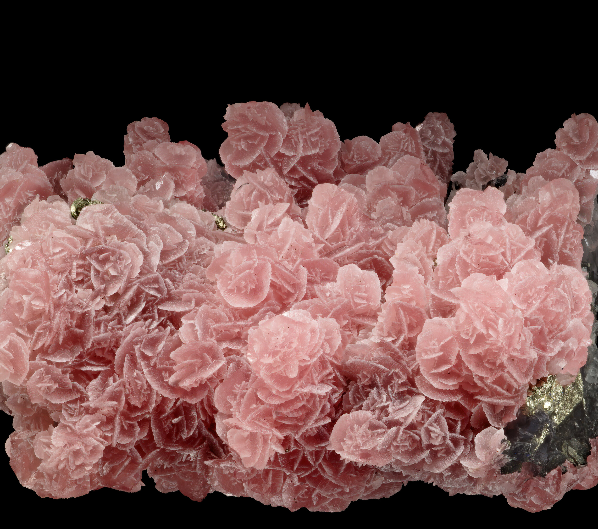 specimens/s_imagesASN2/Rhodochrosite-EPP72ASN2d.jpg