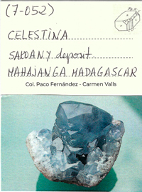 Celestine