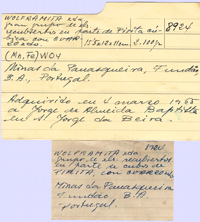 Ferberite (Wolframite Group) with Pyrite, Quartz, Muscovite and Arsenopyrite