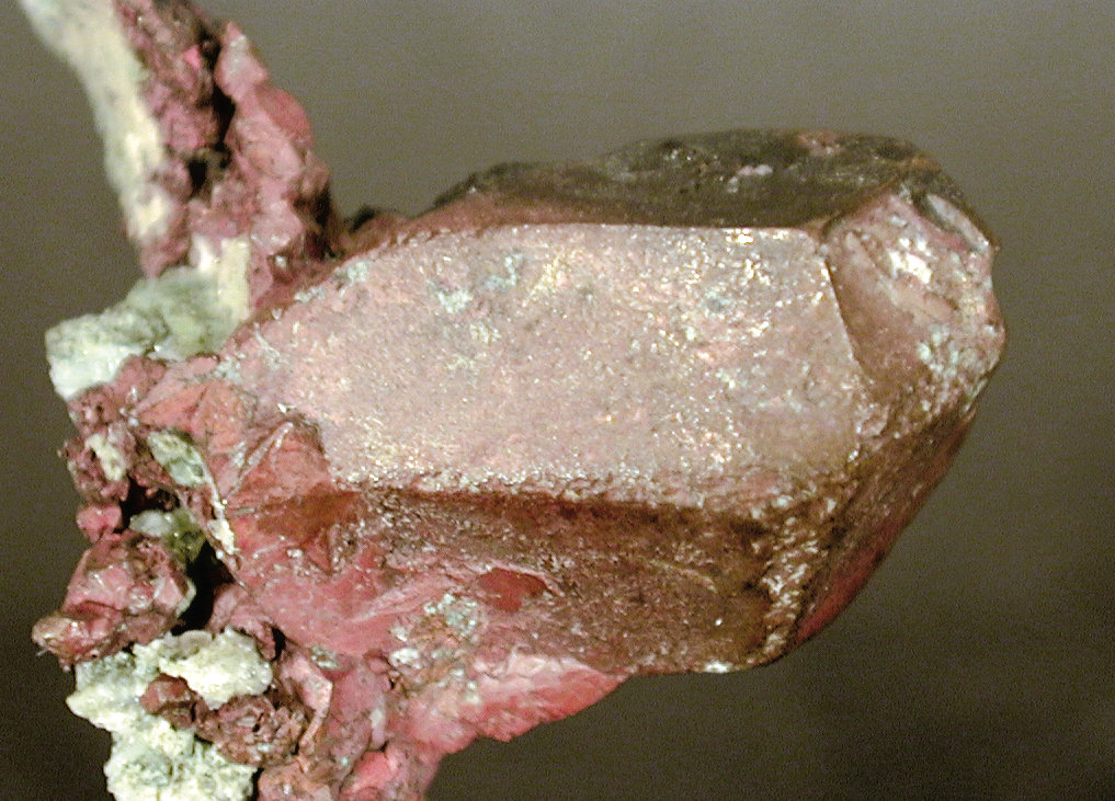 specimens/s_imagesC8/TM71C8d.jpg
