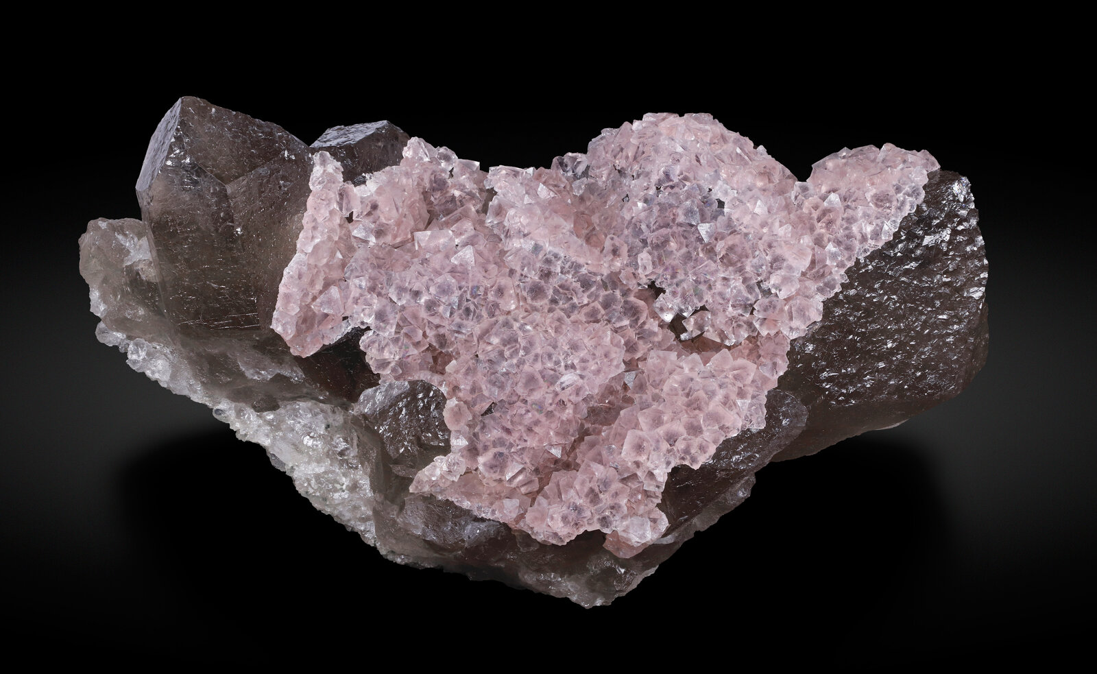 specimens/s_imagesCD1/Fluorite-EXJ38CD1_4446_f.jpg