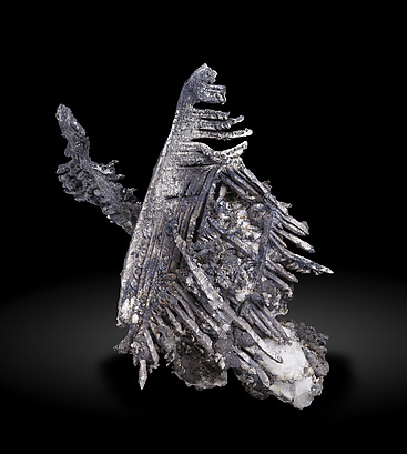 Silver with coatings of Acanthite and with Calcite. Side / Photo: Joaquim Call�n