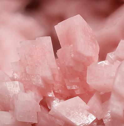 Rhodochrosite with Quartz and Galena. Detail / Photo: Joaquim Call�n