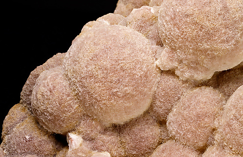 Thomsonite-Ca. Detail / Photo: Joaquim Call�n