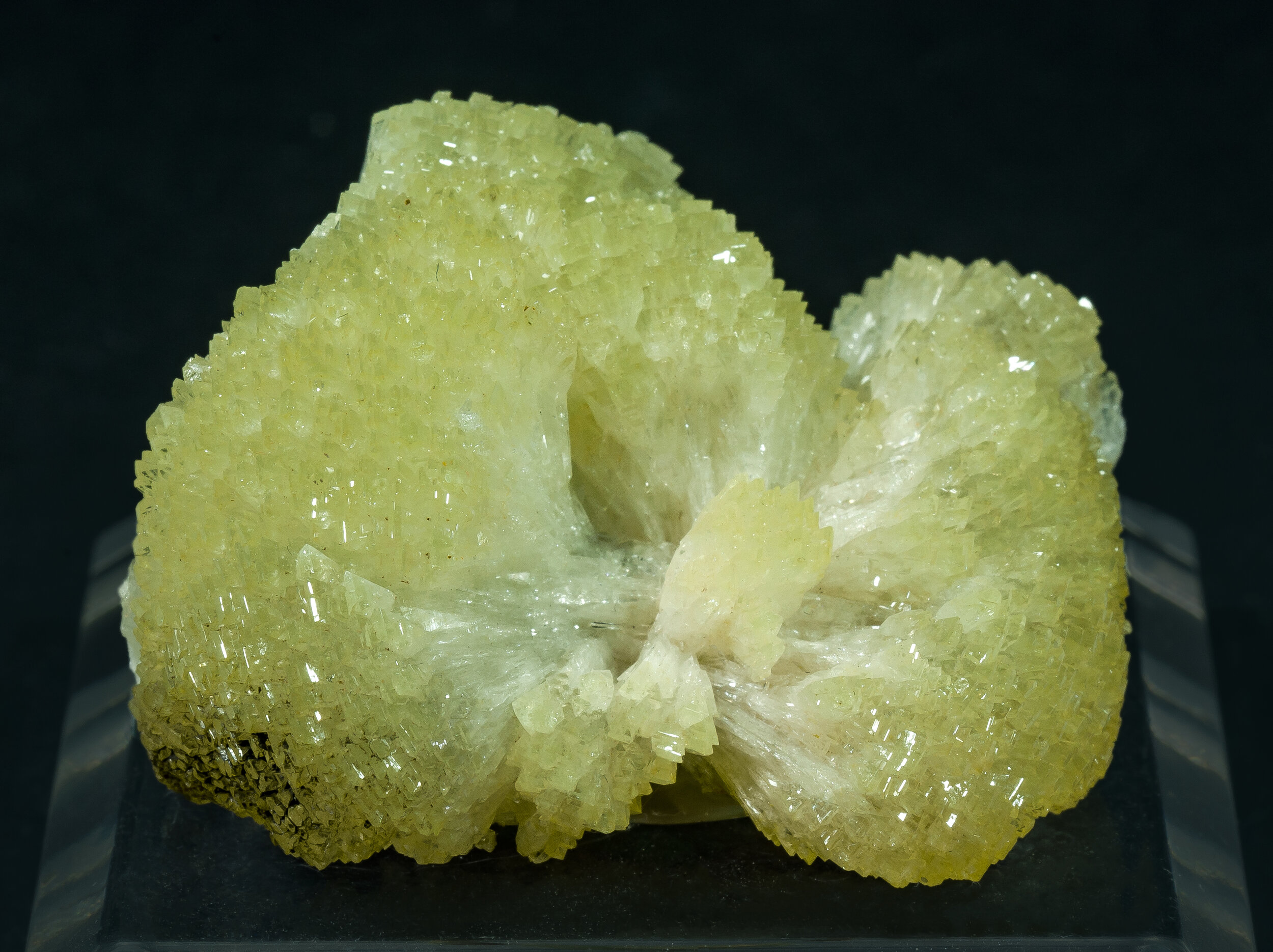 specimens/s_imagesCM/Adamite-23RBX160_f.jpg