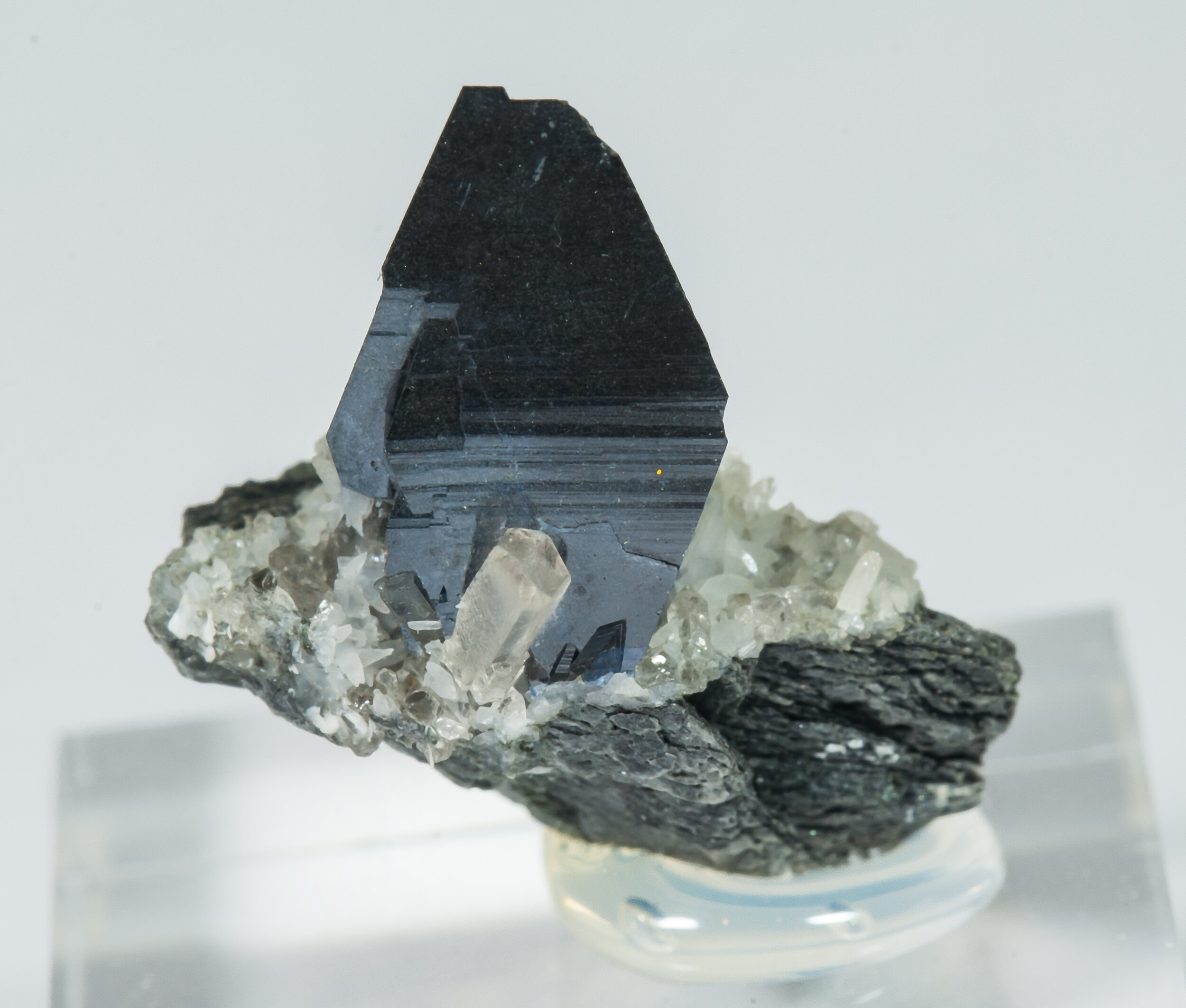 specimens/s_imagesCM/Anatase-19ALX185_f.jpg