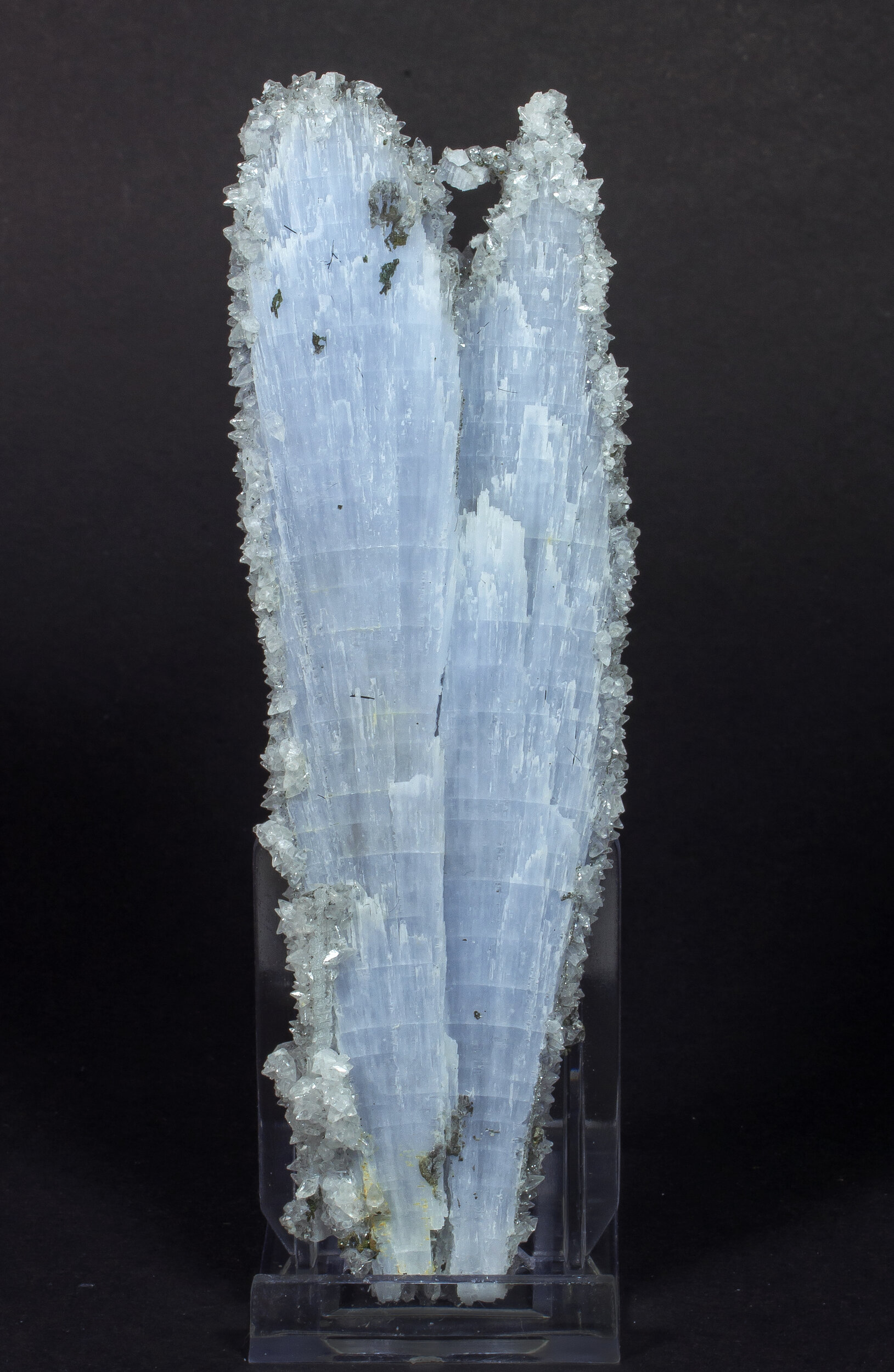 specimens/s_imagesCM/Anhydrite-11TV490_f.jpg