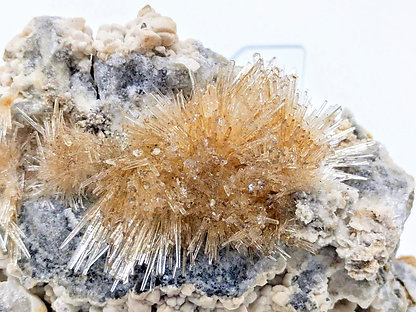 Aragonite. 
