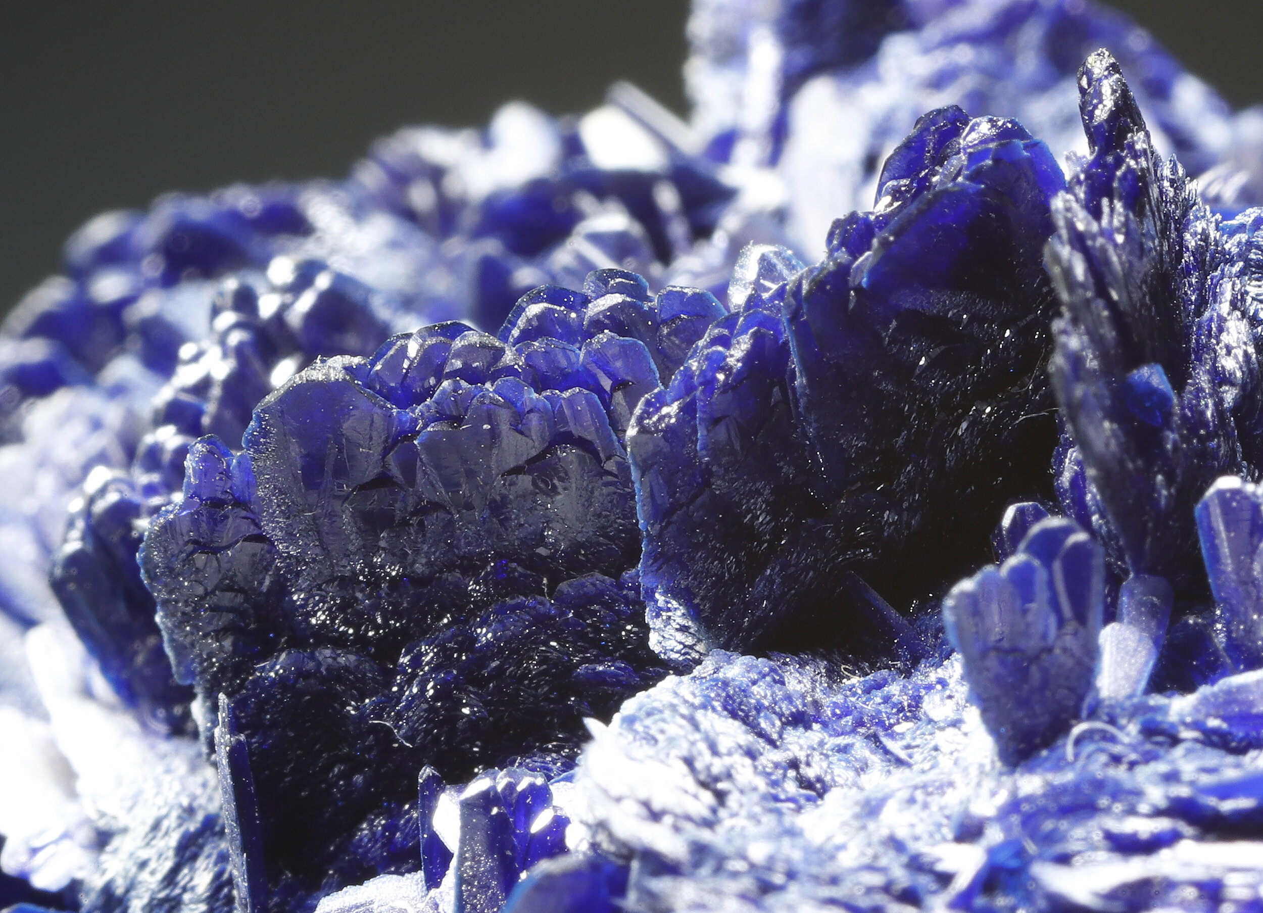 specimens/s_imagesCM/Azurite-9TF66R4-2.jpg