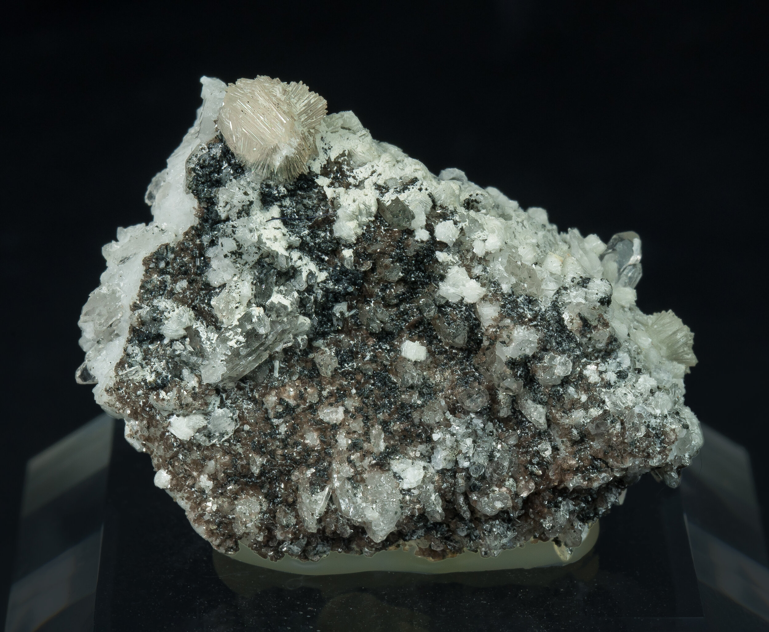 specimens/s_imagesCM/Bavenite-21NPX70_f.jpg