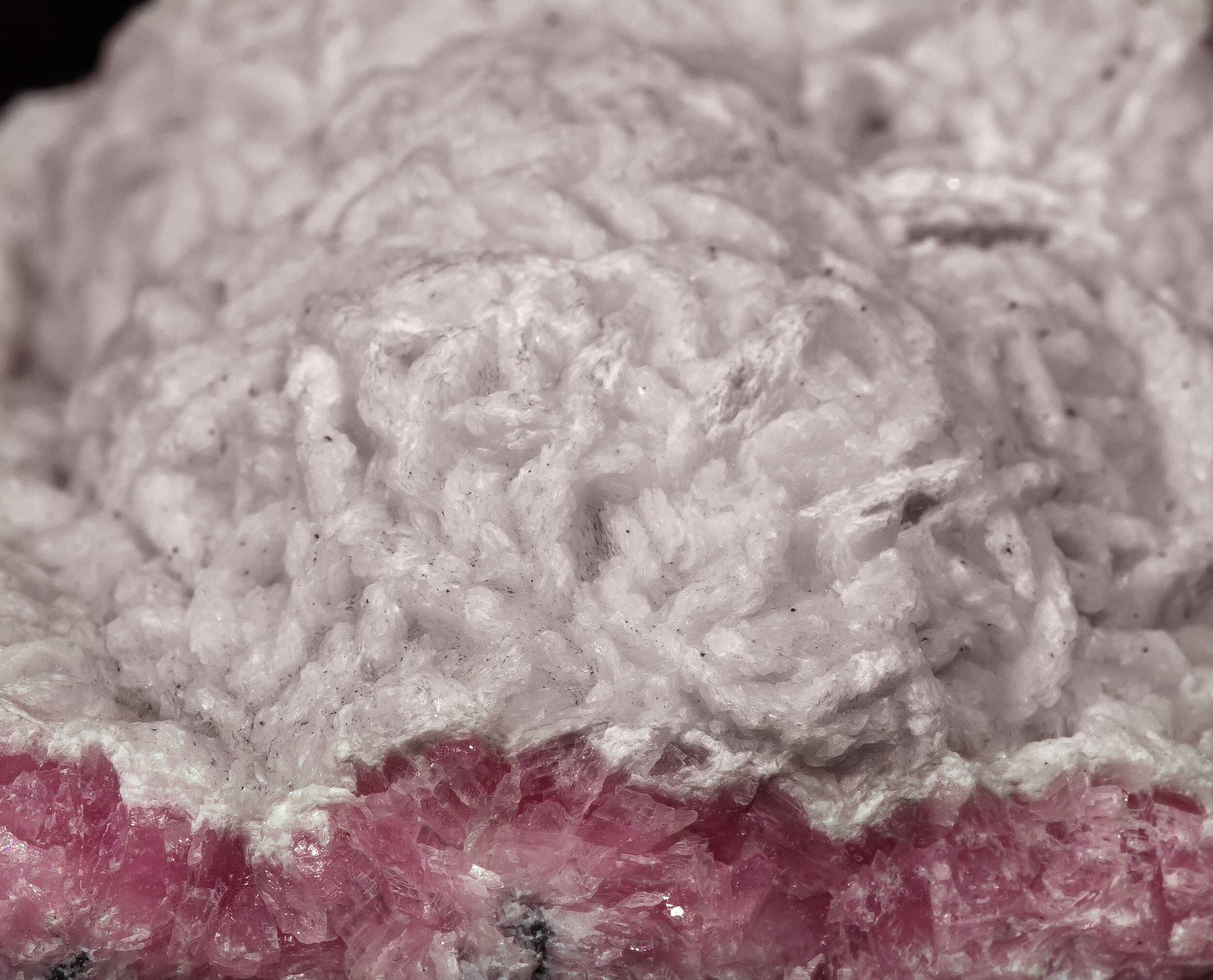 specimens/s_imagesCM/Calcite-11TP140_d.jpg
