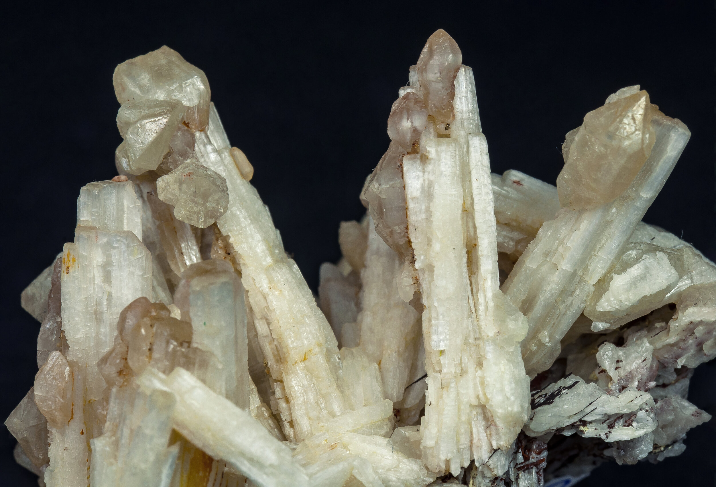 specimens/s_imagesCM/Cerussite-19EBP180_f.jpg