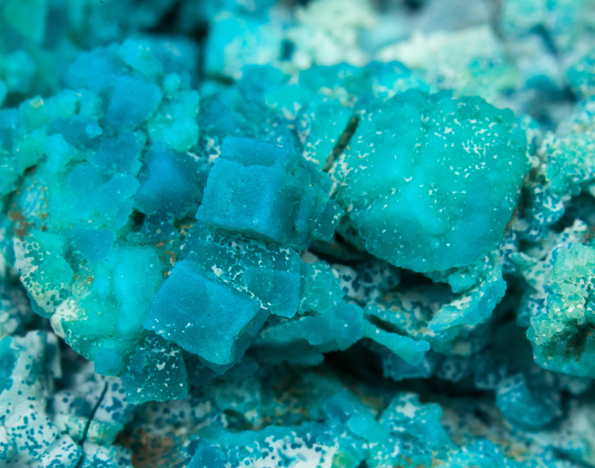 specimens/s_imagesCM/Chrysocolla-19TQX70_de.jpg
