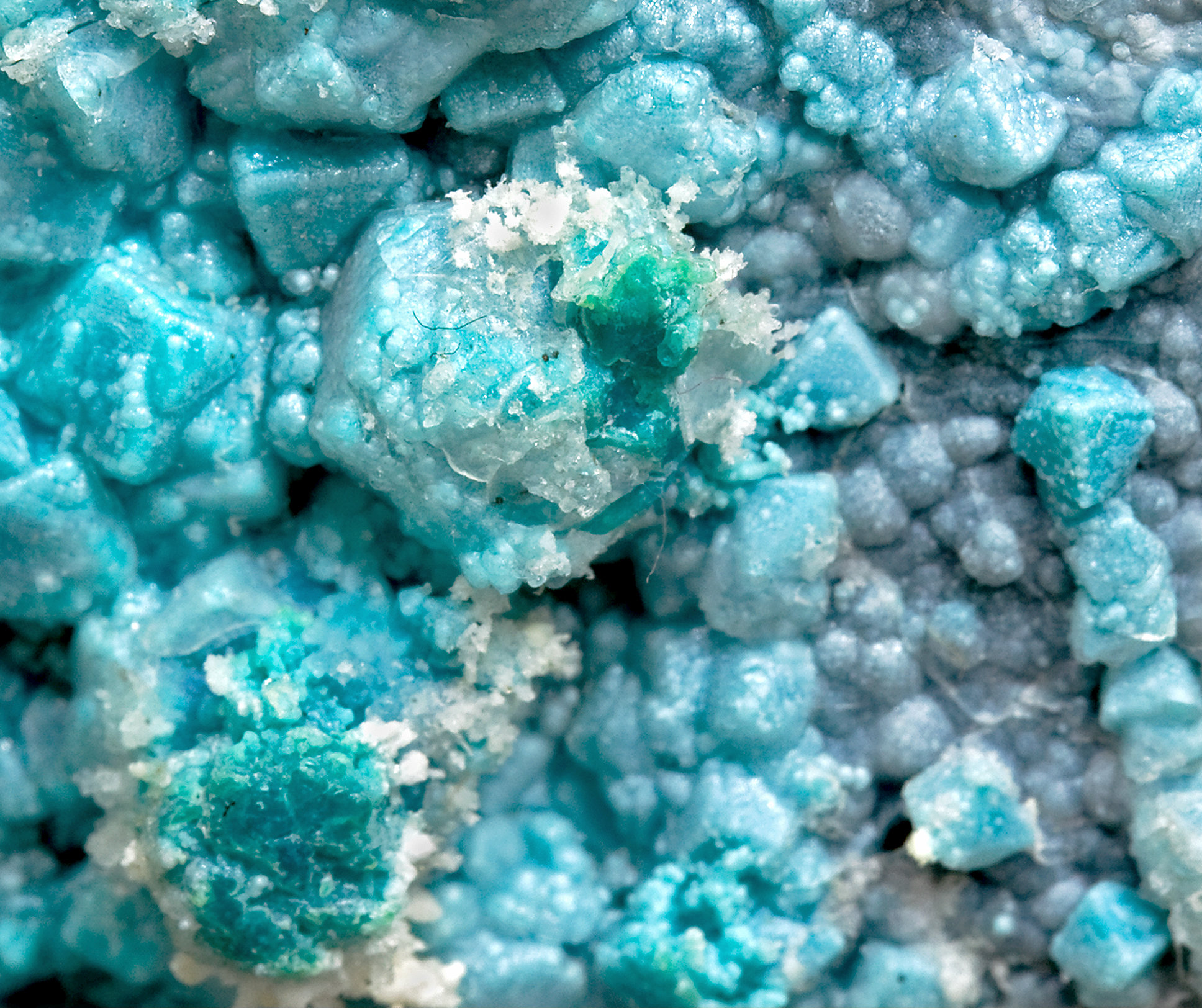 specimens/s_imagesCM/Chrysocolla-8TC36V1d.jpg