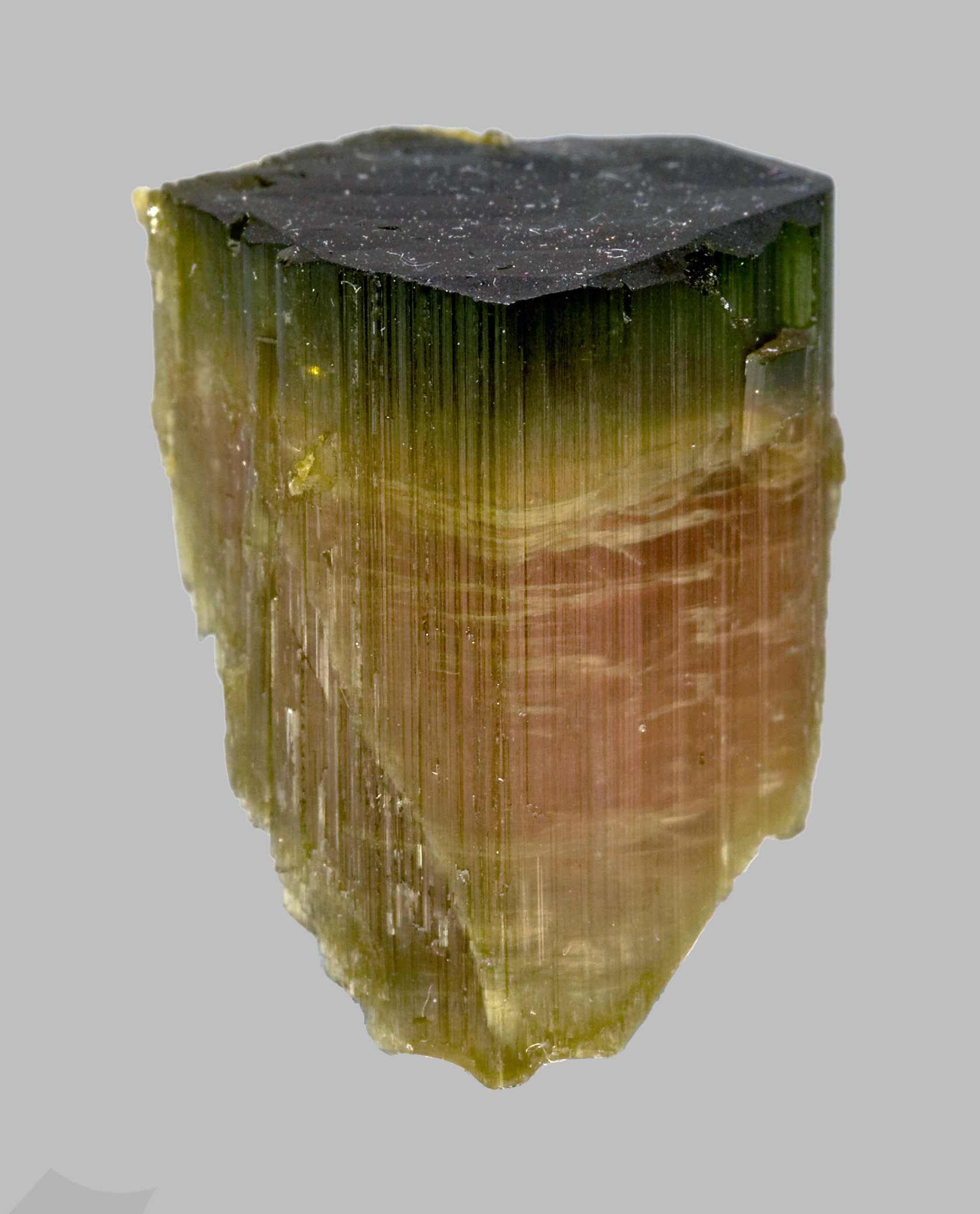 specimens/s_imagesCM/Elbaite-8TG27W4f.jpg