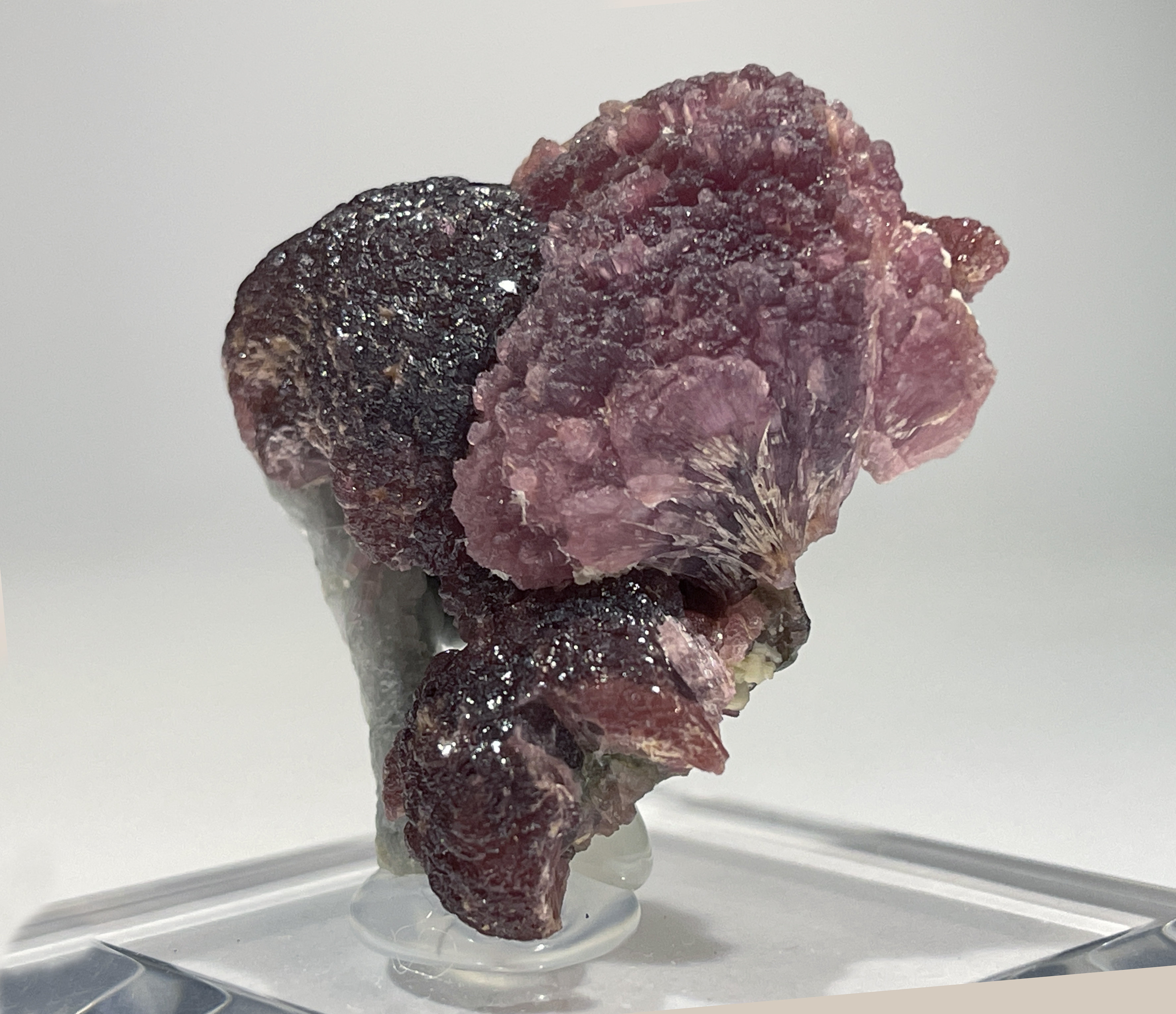 specimens/s_imagesCM/Elbaite-9TQ37V7s.jpg