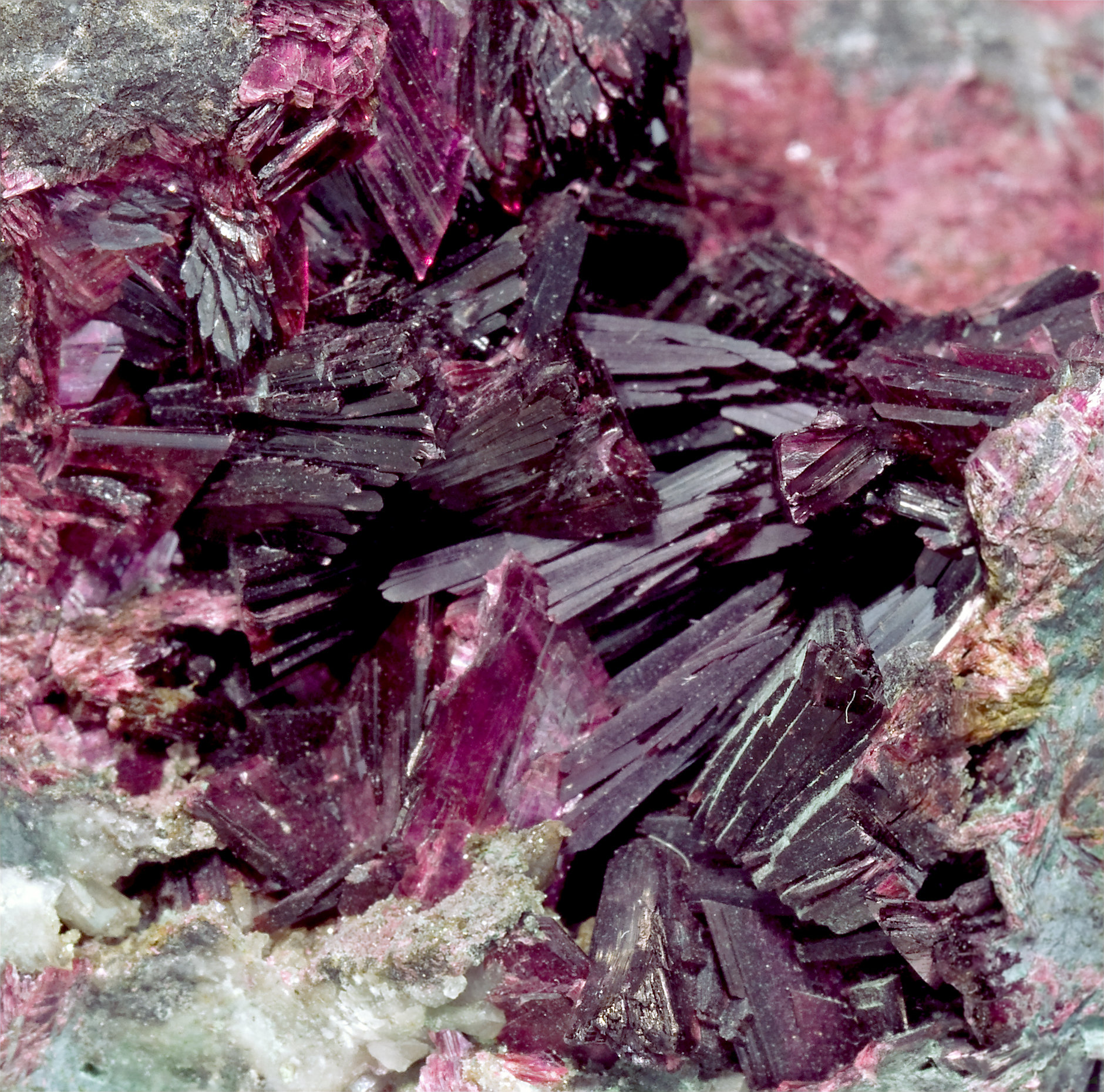 specimens/s_imagesCM/Erythrite-8EV69V9d.jpg