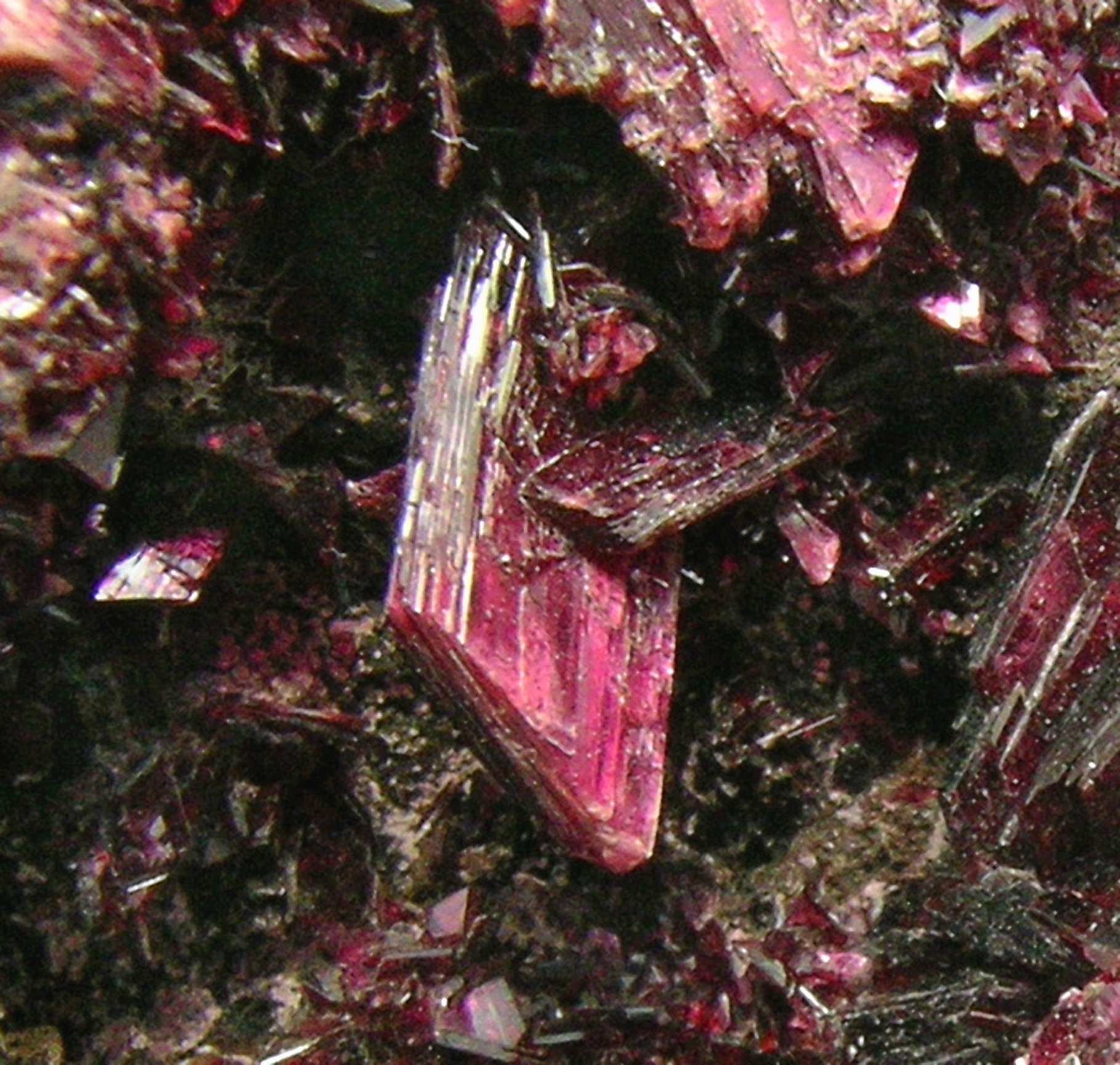 specimens/s_imagesCM/Erythrite5GC17Q5d.jpg