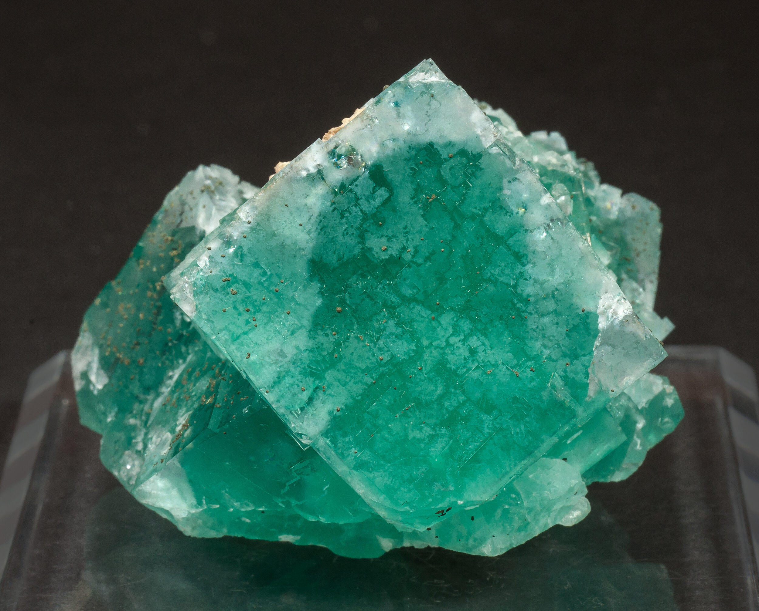 specimens/s_imagesCM/Fluorite-10ER10-1.jpg