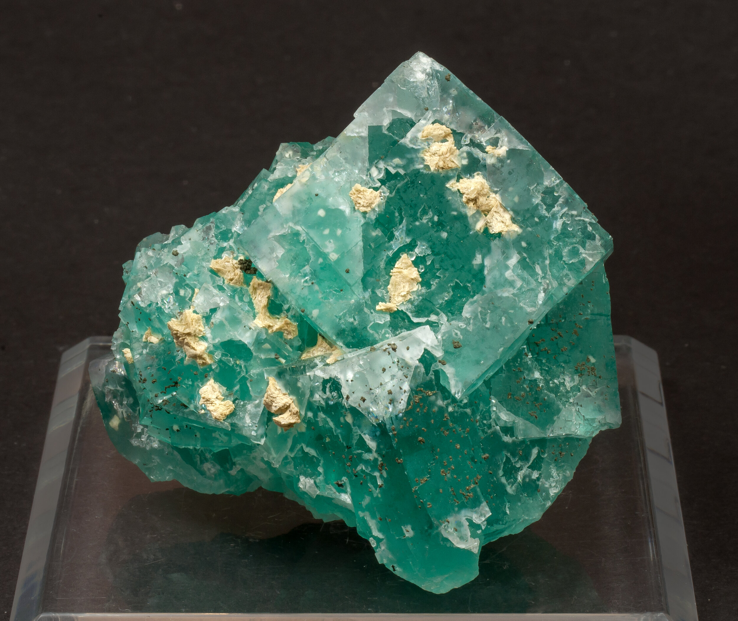 specimens/s_imagesCM/Fluorite-10ER10-2.jpg