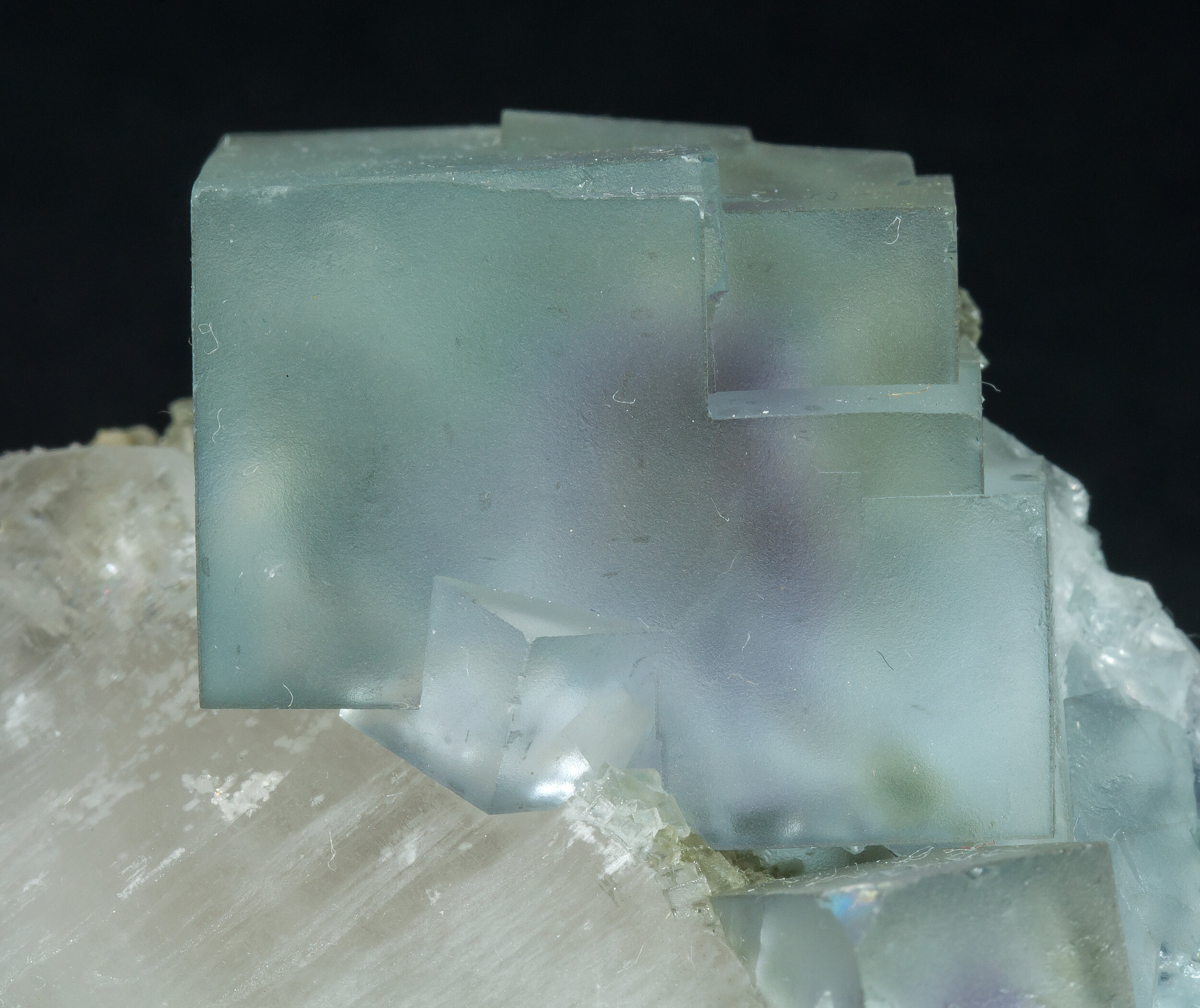 specimens/s_imagesCM/Fluorite-11NP80_d.jpg