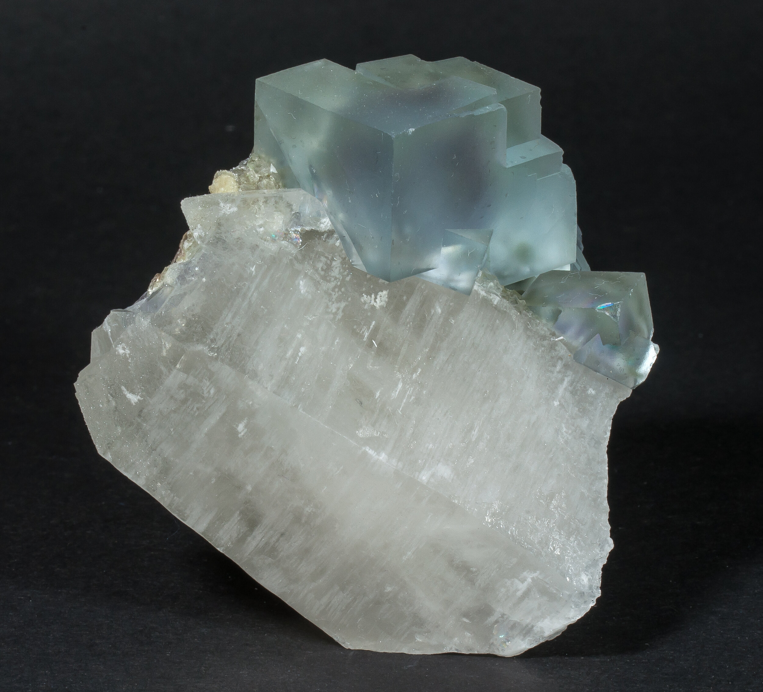 specimens/s_imagesCM/Fluorite-11NP80_f.jpg