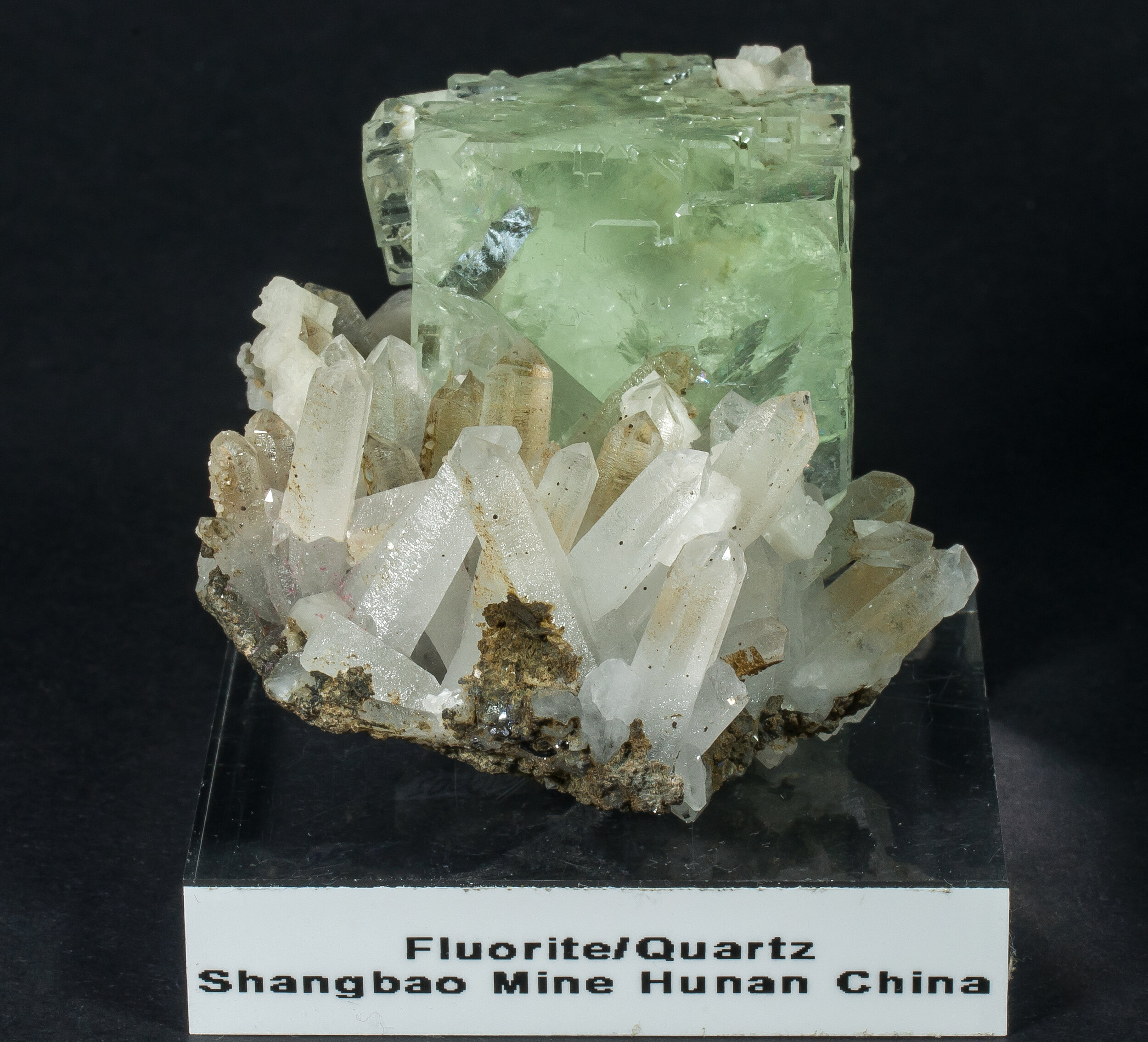specimens/s_imagesCM/Fluorite-17FB220_f.jpg