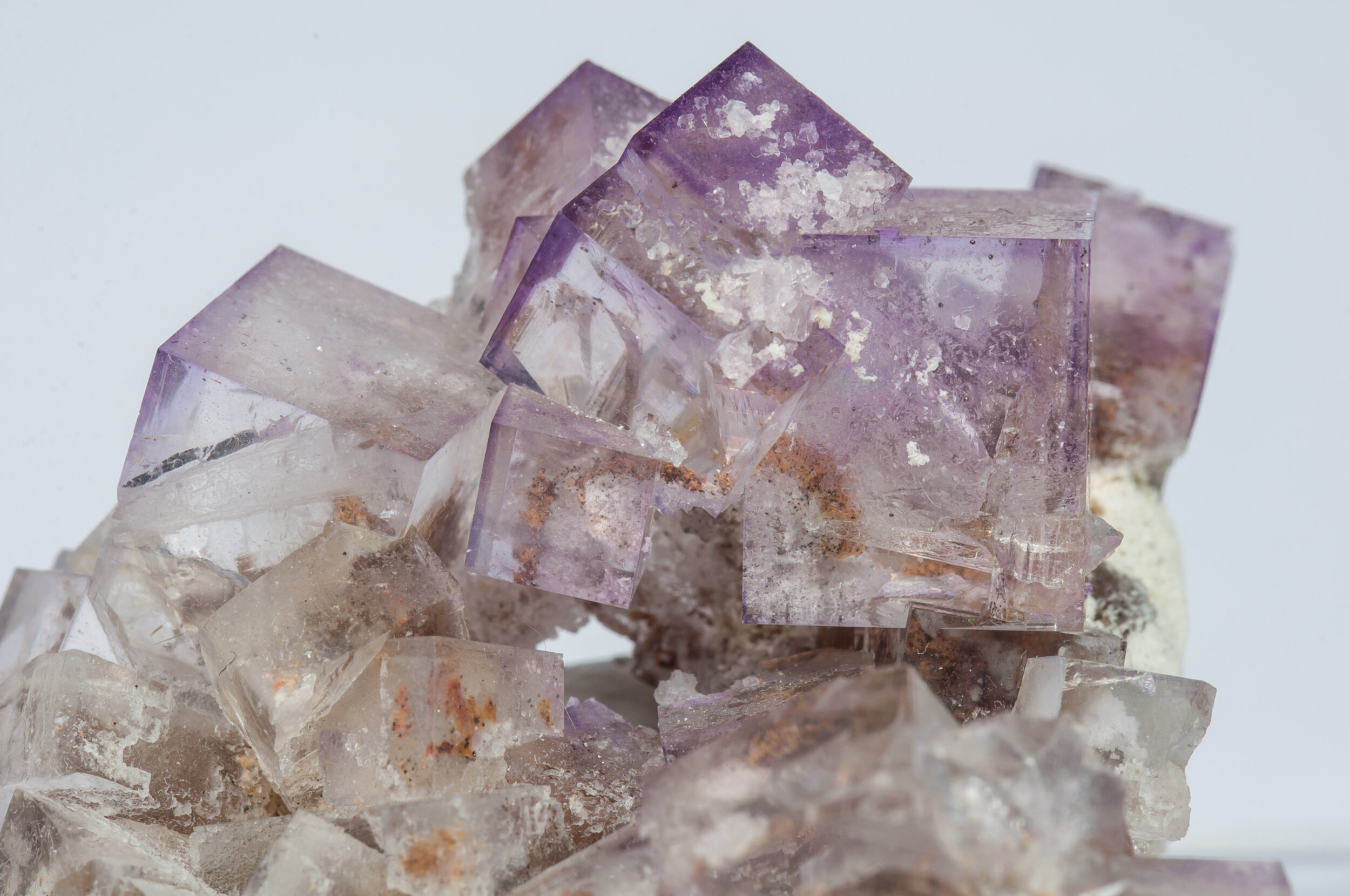 specimens/s_imagesCM/Fluorite-17FR70_d.jpg