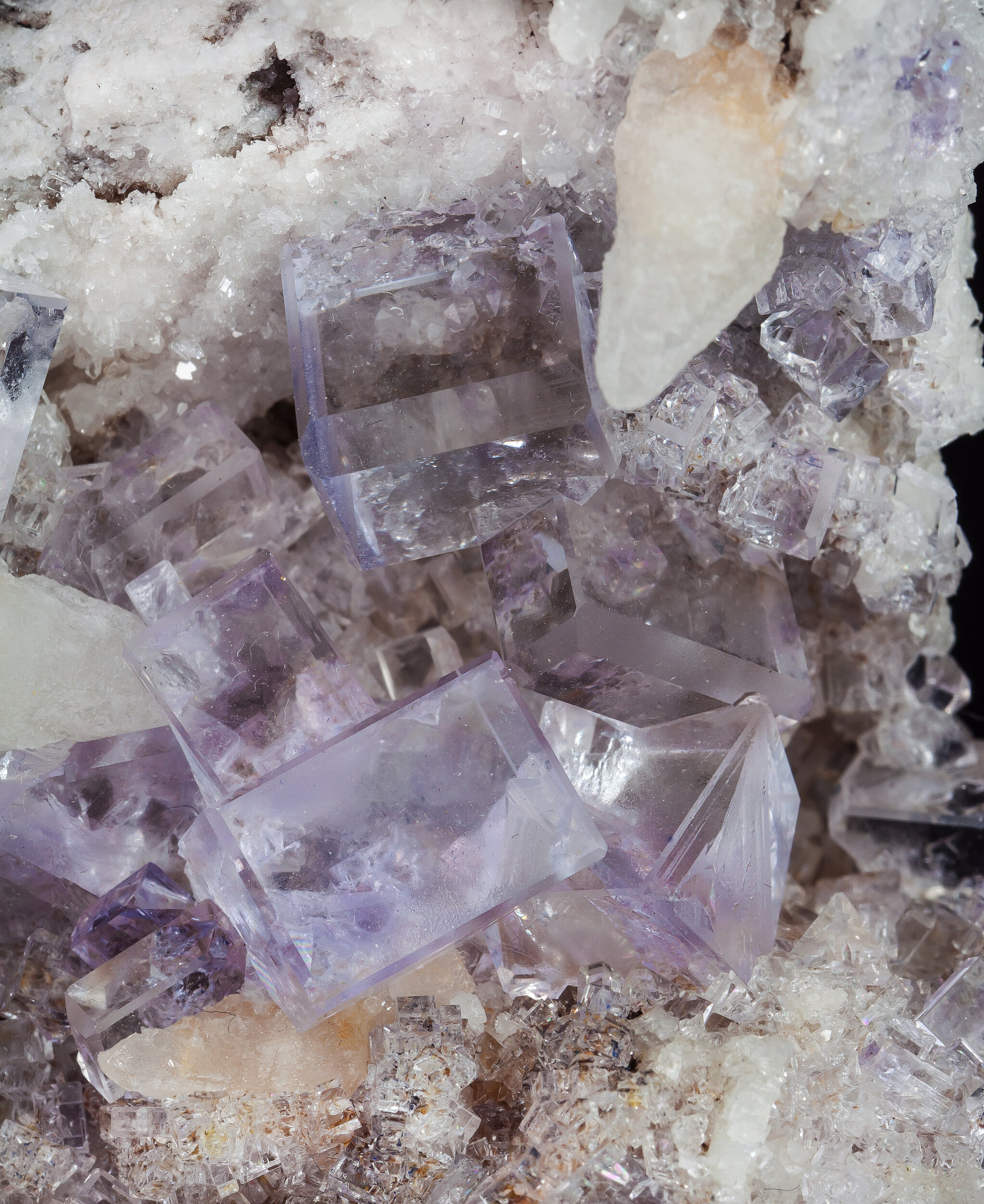 specimens/s_imagesCM/Fluorite-18NDA220_dd.jpg