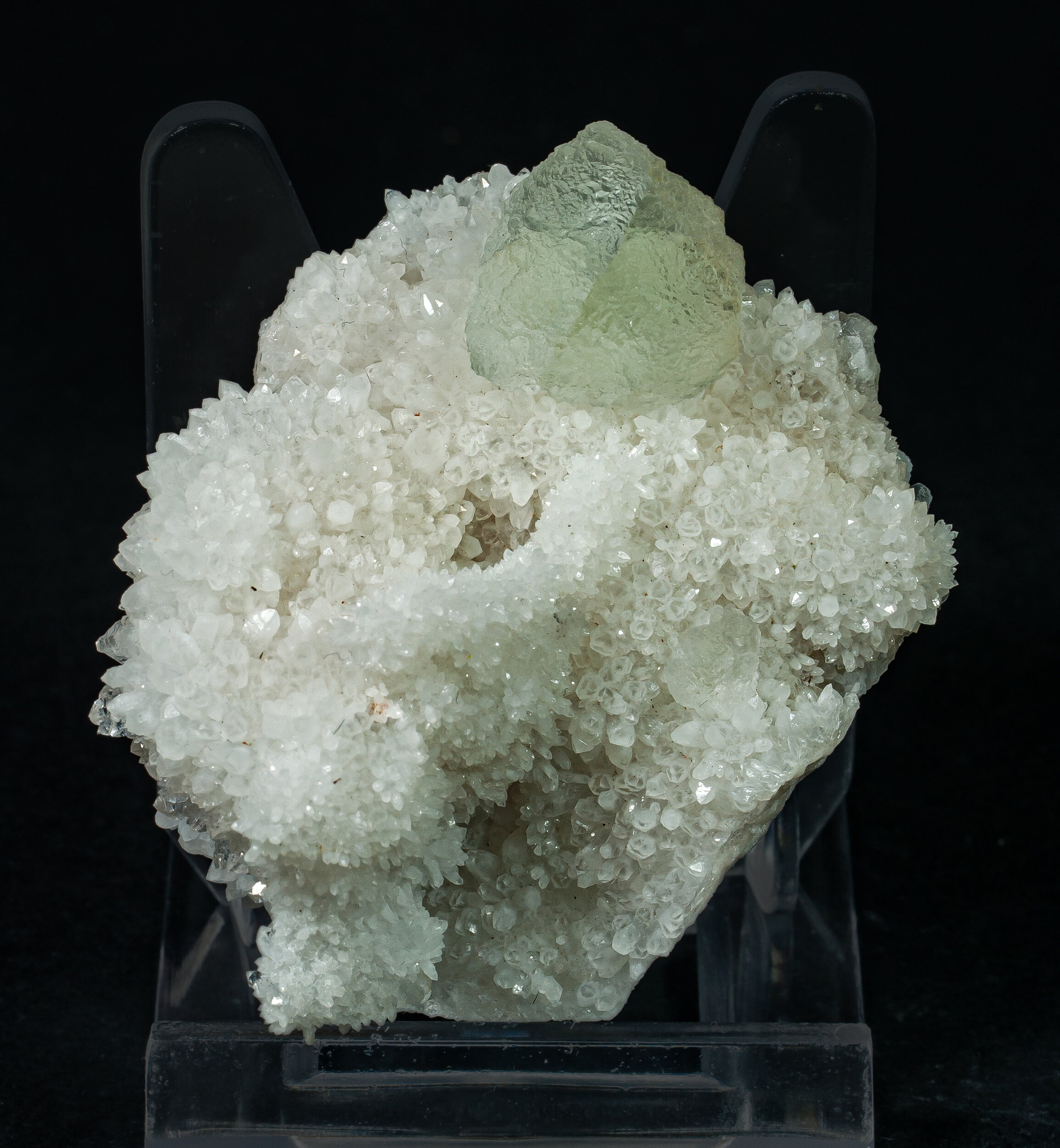 specimens/s_imagesCM/Fluorite-19FDX100_f.jpg