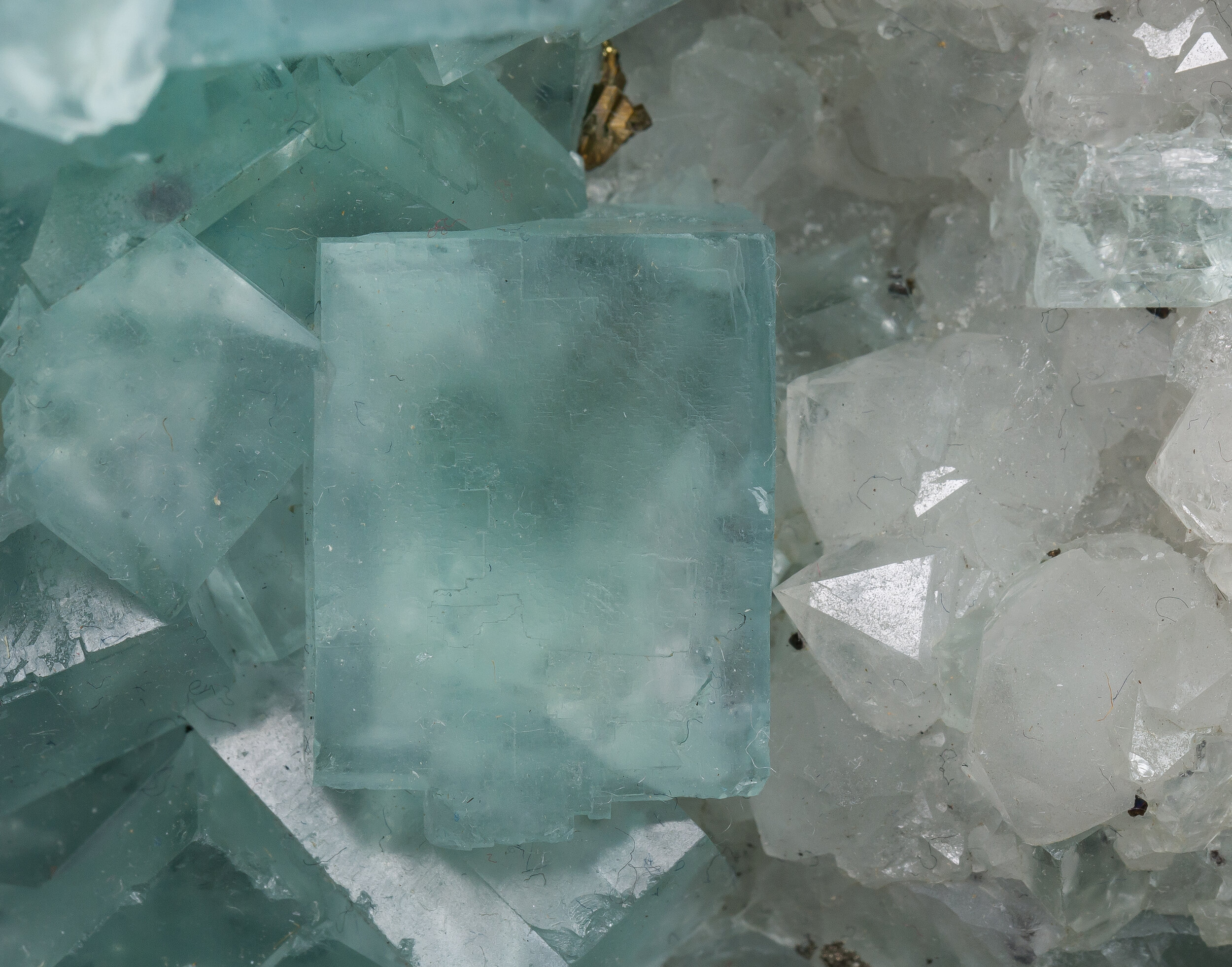 specimens/s_imagesCM/Fluorite-19TGB170_f.jpg