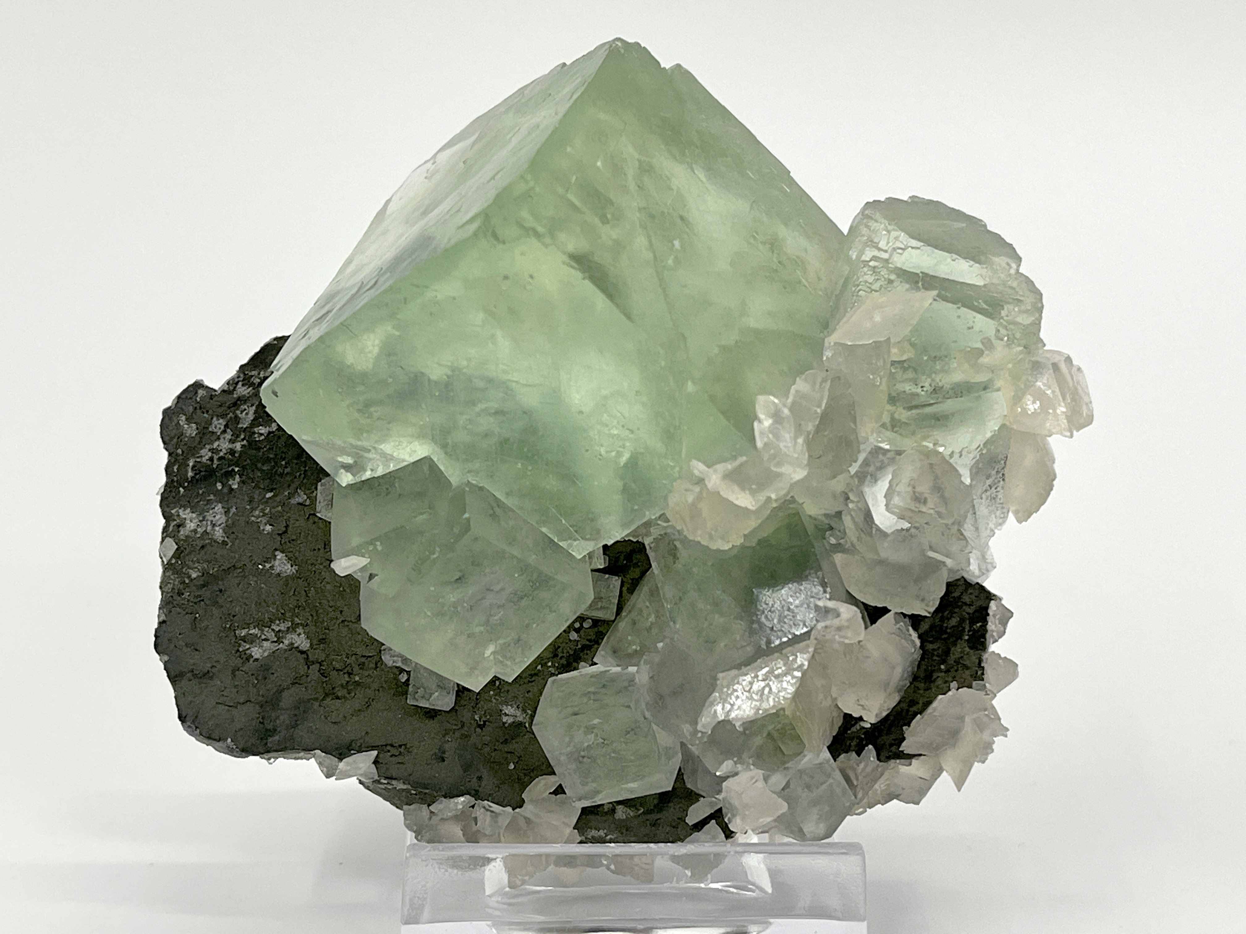 specimens/s_imagesCM/Fluorite-9JB88X0f.jpg