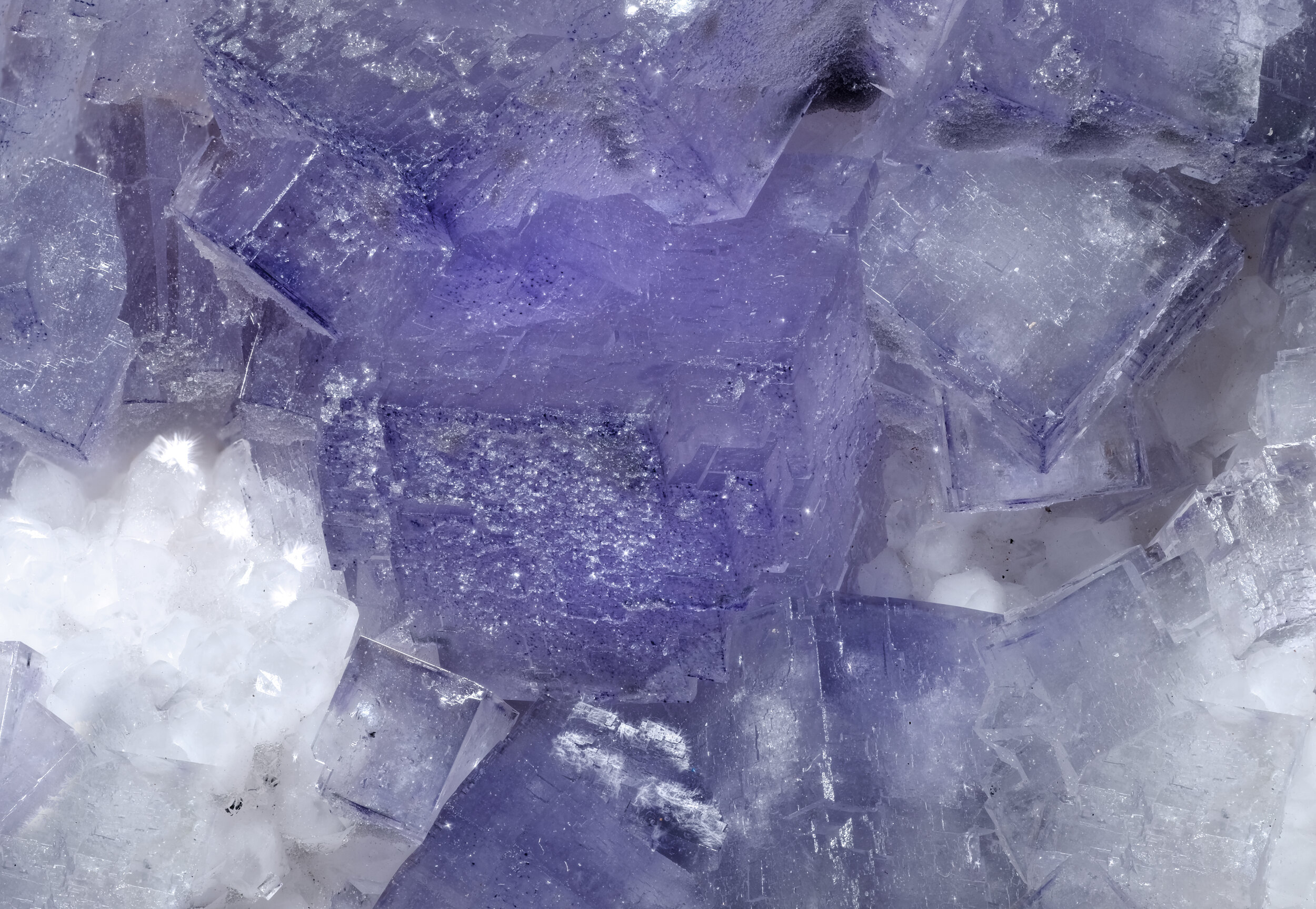 specimens/s_imagesCM/Fluorite_17ELB90_d.jpg