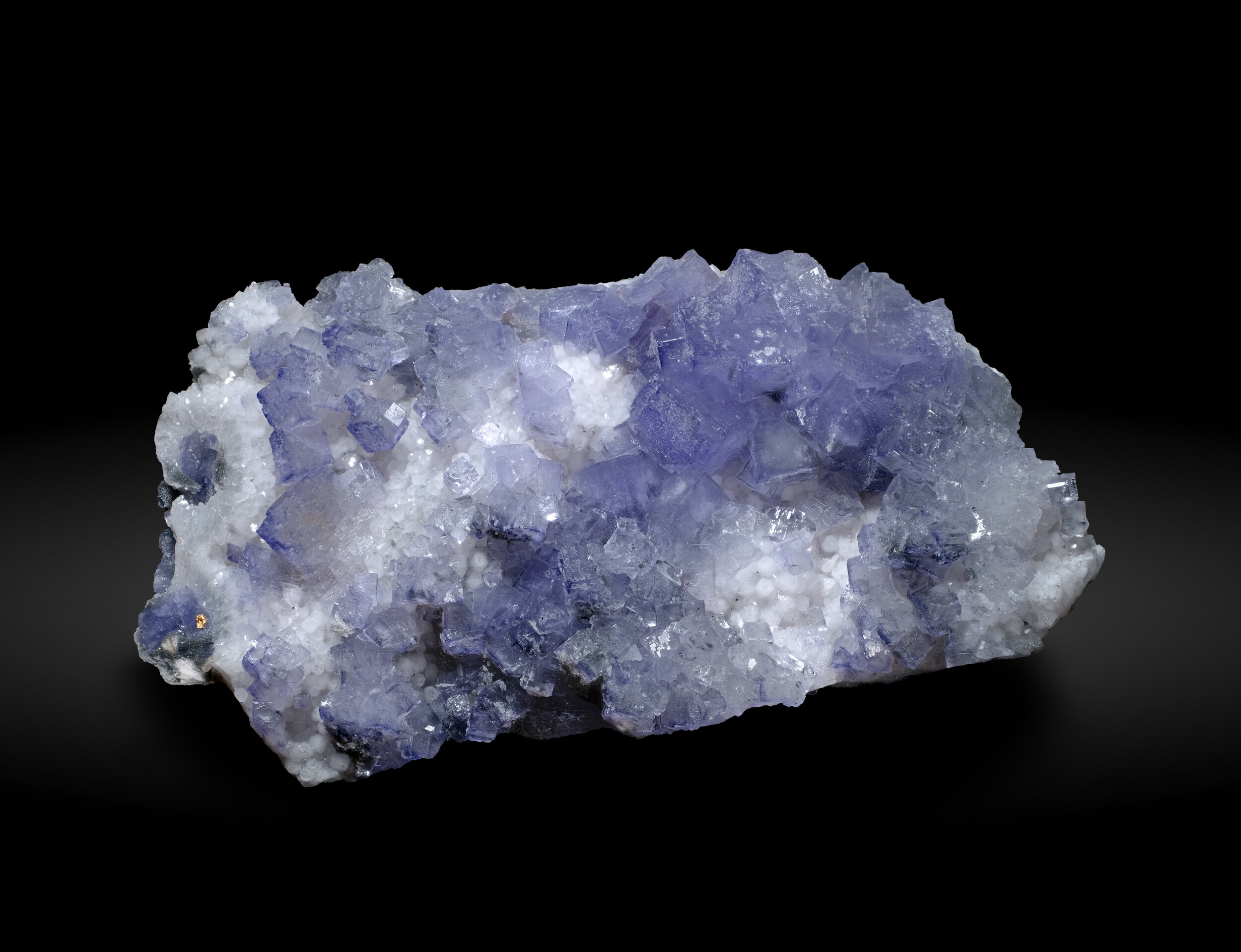 specimens/s_imagesCM/Fluorite_17ELB90_f.jpg