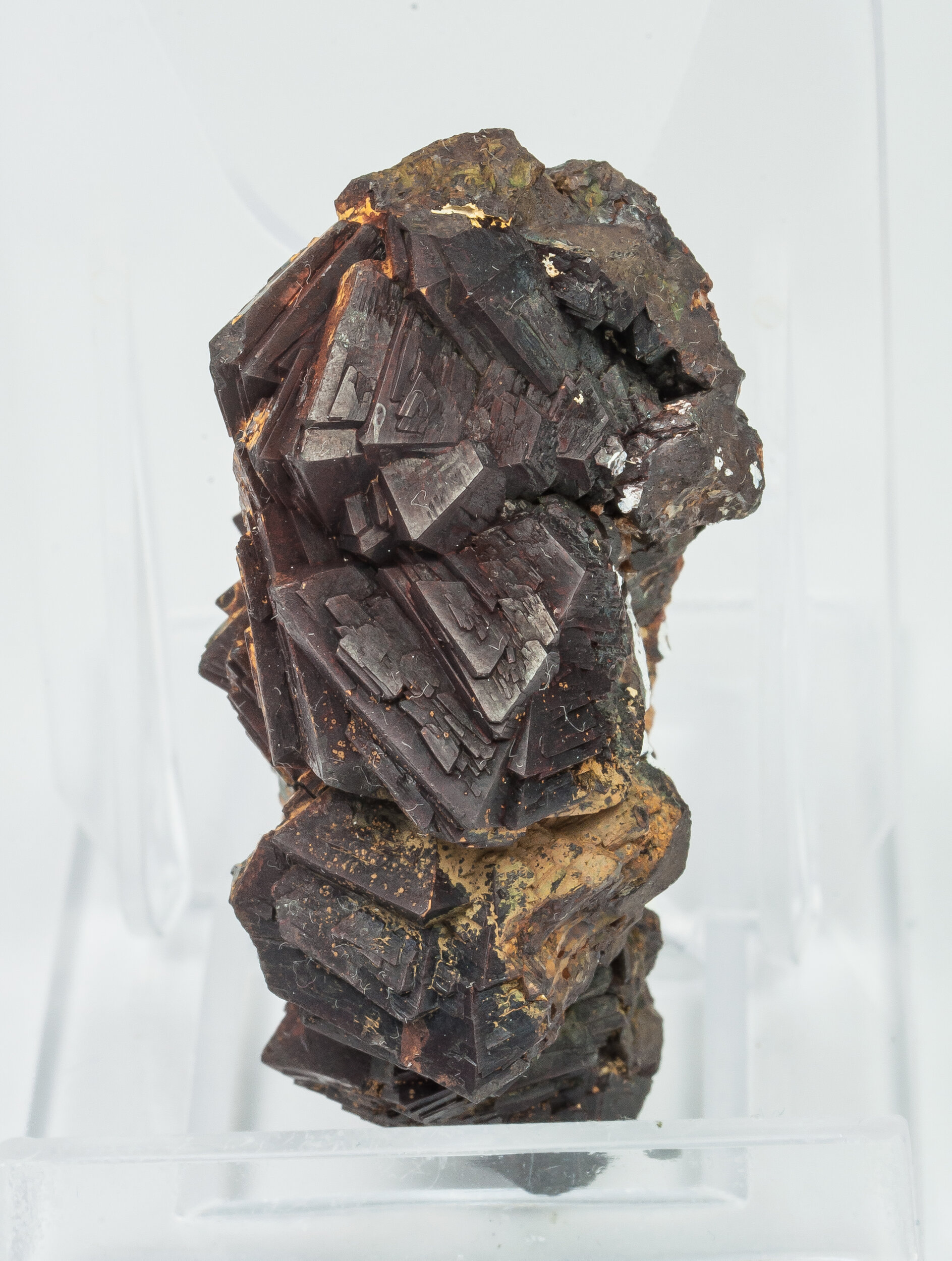 specimens/s_imagesCM/Goethite-18CBR40.jpg