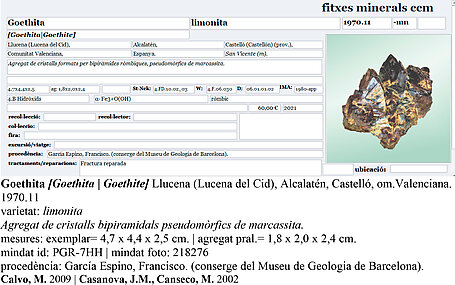 Goethite after Marcasite