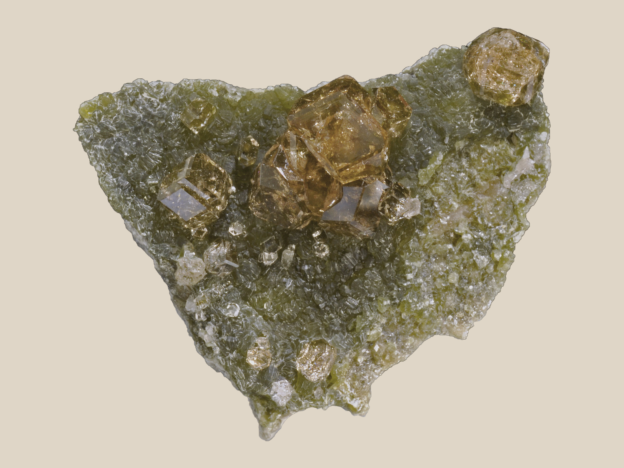 specimens/s_imagesCM/Grossular-6TR96Q8.jpg