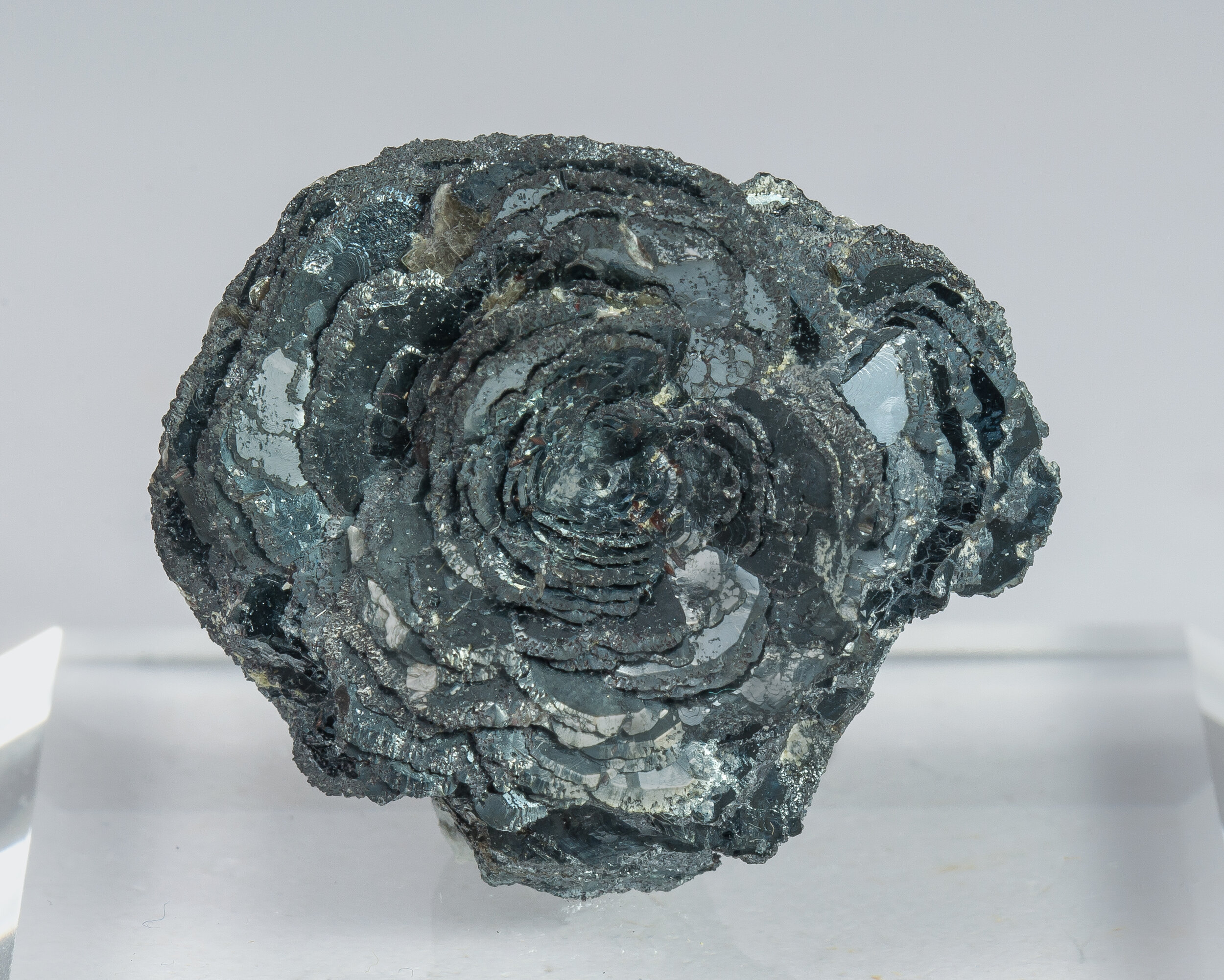 specimens/s_imagesCM/Hematite-18MTB100_f.jpg