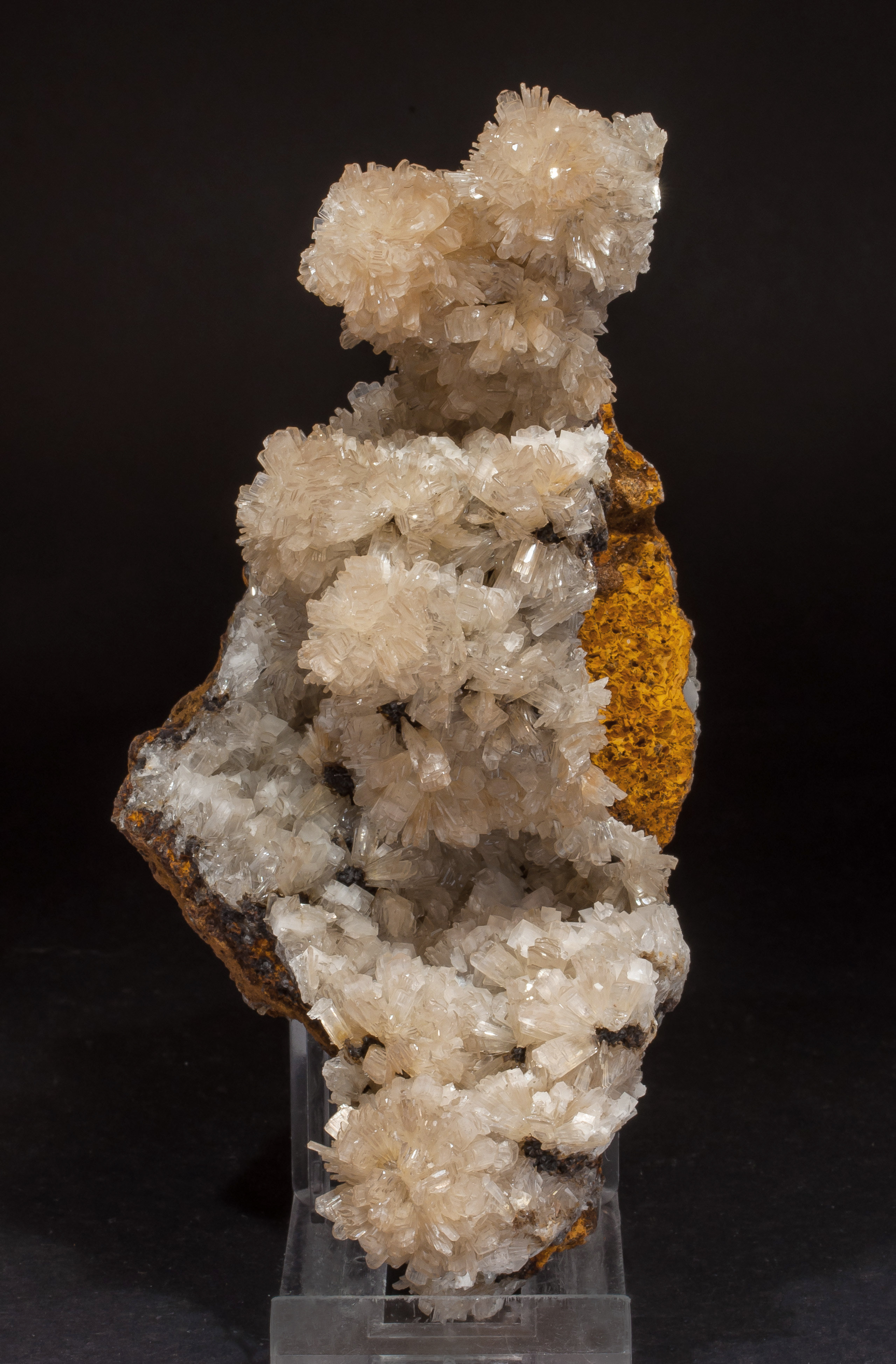 specimens/s_imagesCM/Hemimorphite-8MB76W7s.jpg