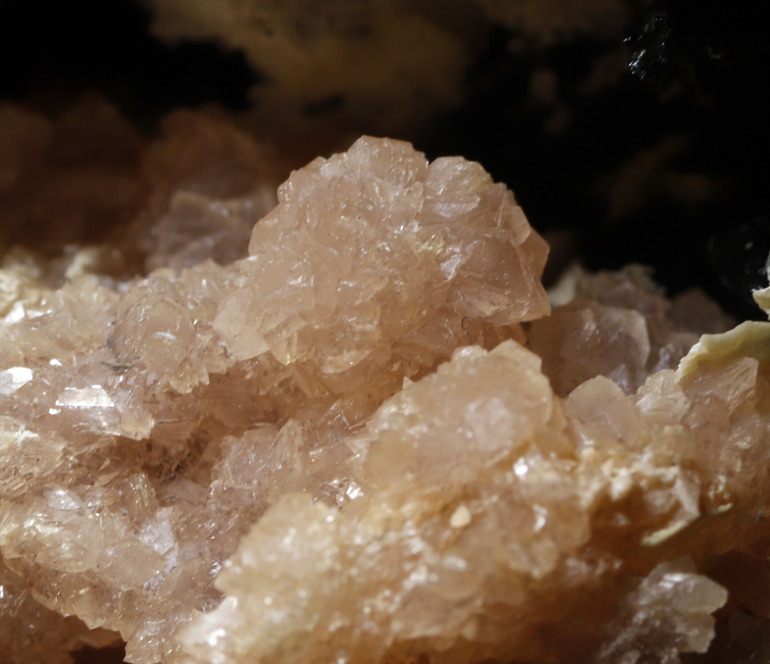 specimens/s_imagesCM/Hureaulita-9TE95H9-3.jpg