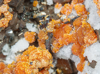 Hutchinsonite, Orpiment, Pyrite, Quartz. 