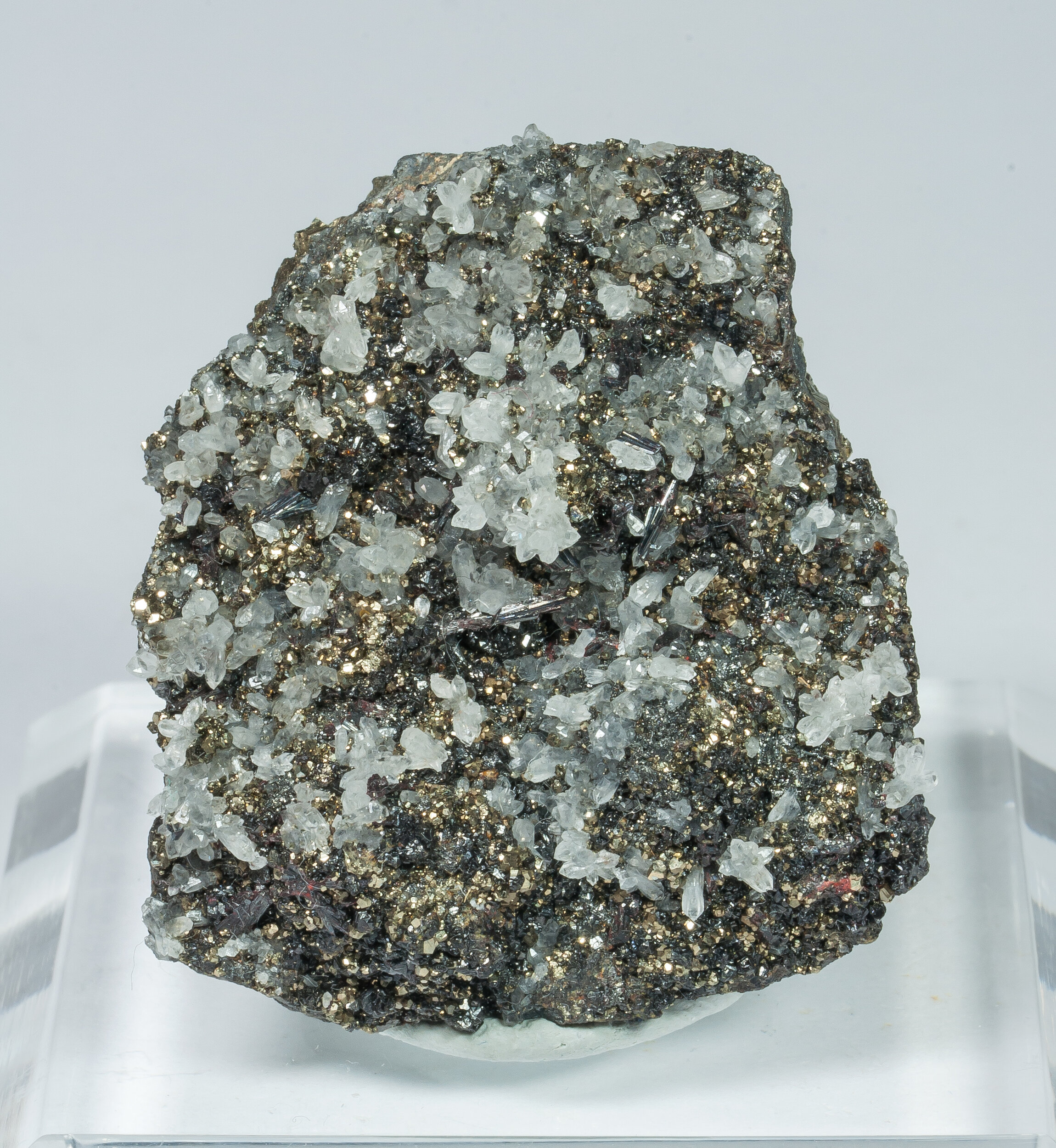 specimens/s_imagesCM/Hutchinsonite-16TT70_f.jpg