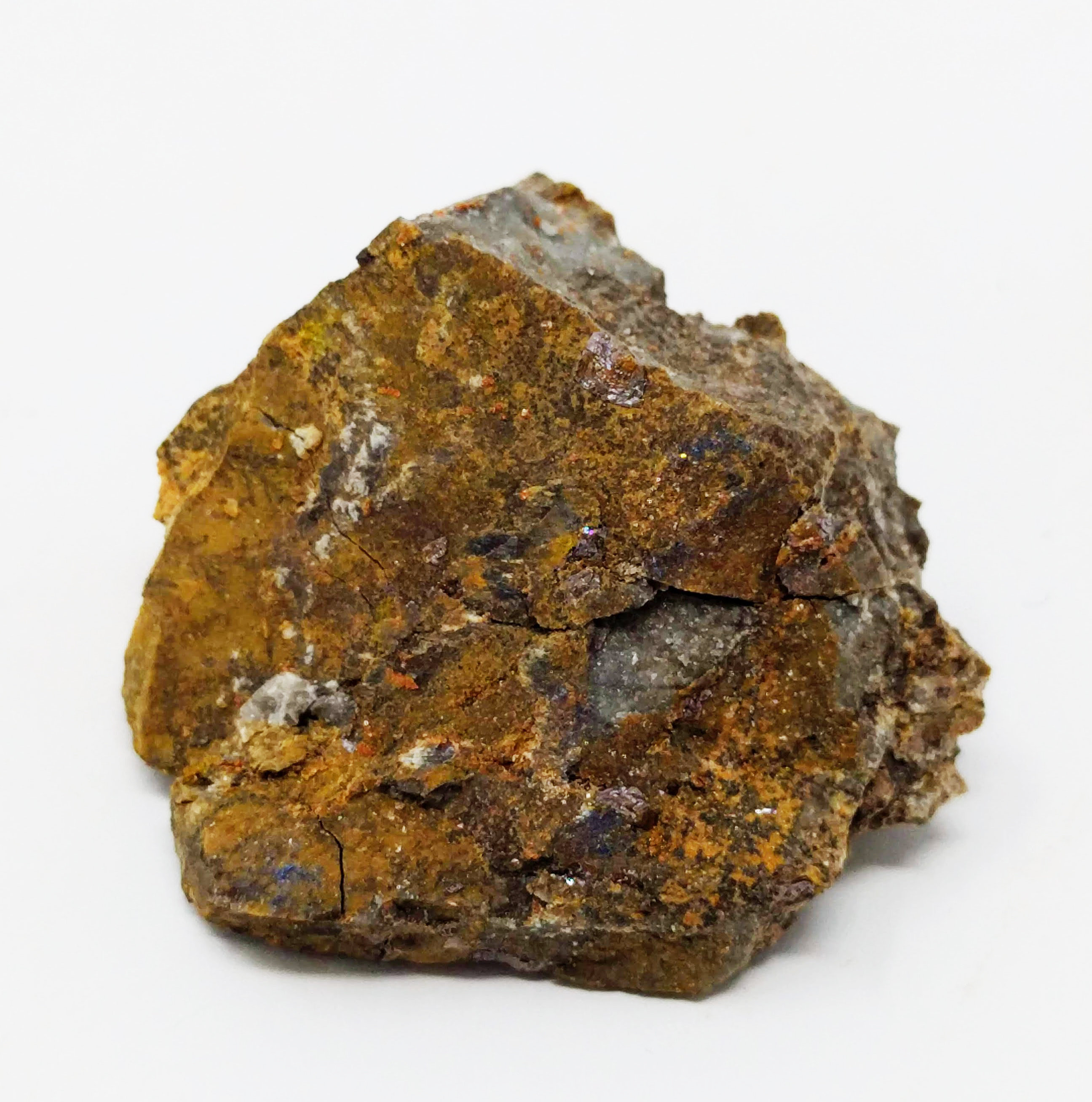 specimens/s_imagesCM/Iranita-1D59-1.jpg