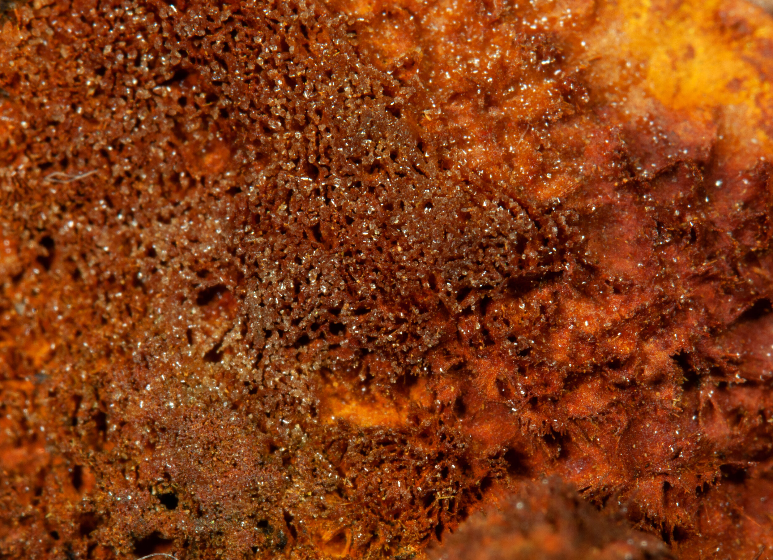 specimens/s_imagesCM/Kapundaite-23TLX190_d.jpg