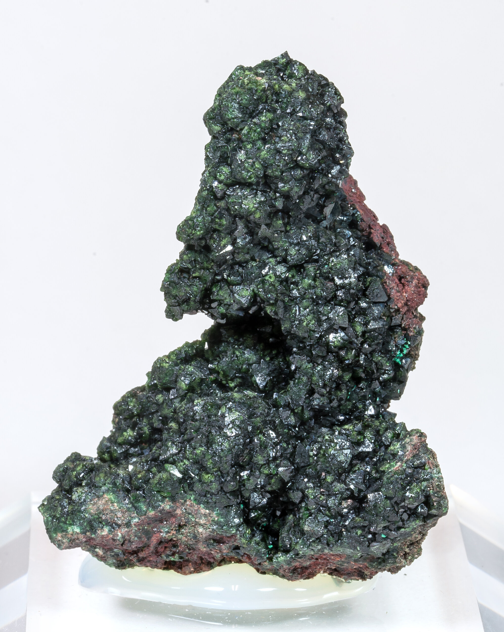 specimens/s_imagesCM/Libethenite-10AB10_f.jpg