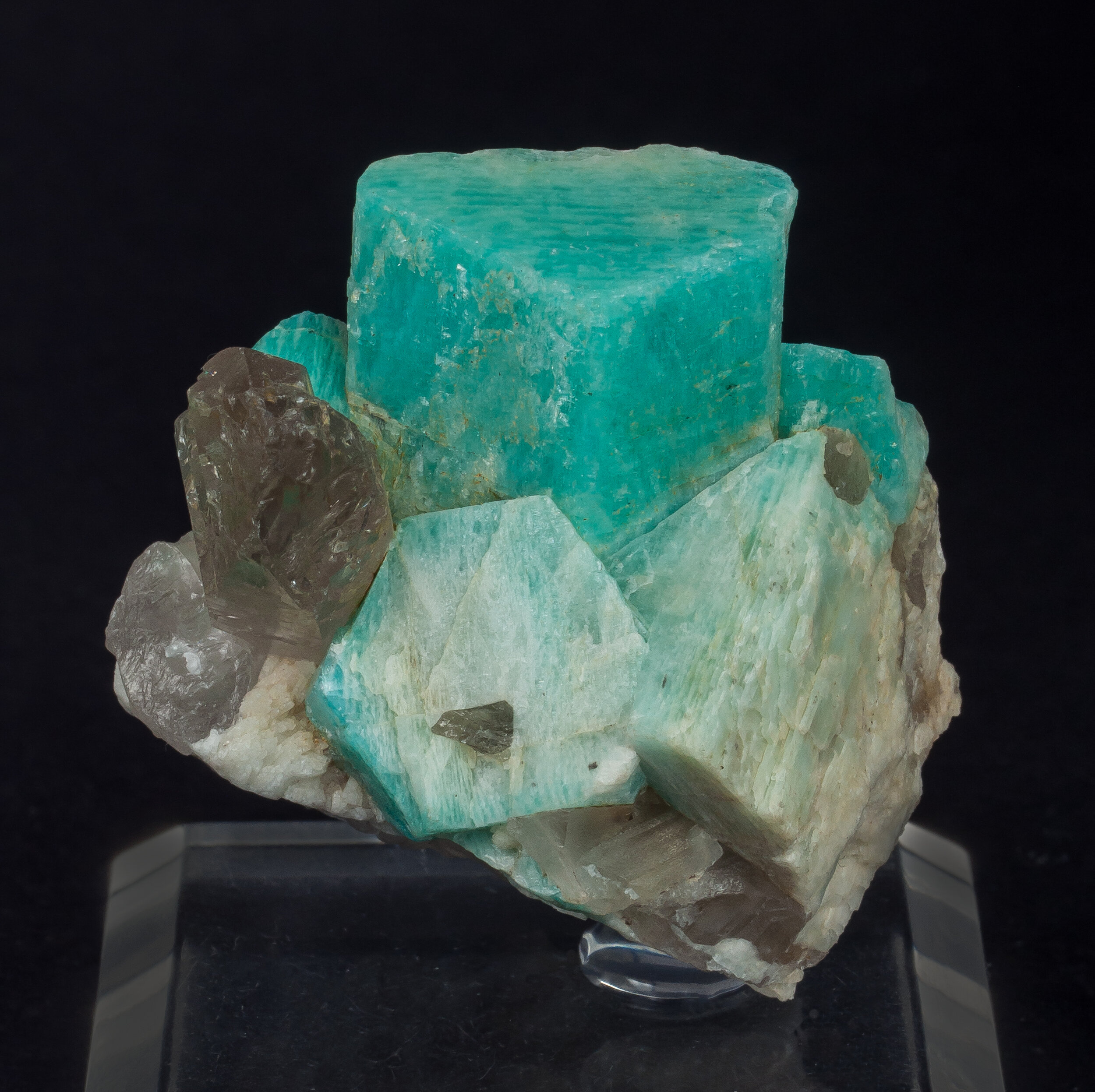 specimens/s_imagesCM/Microcline_amazonite-16MK80_f.jpg