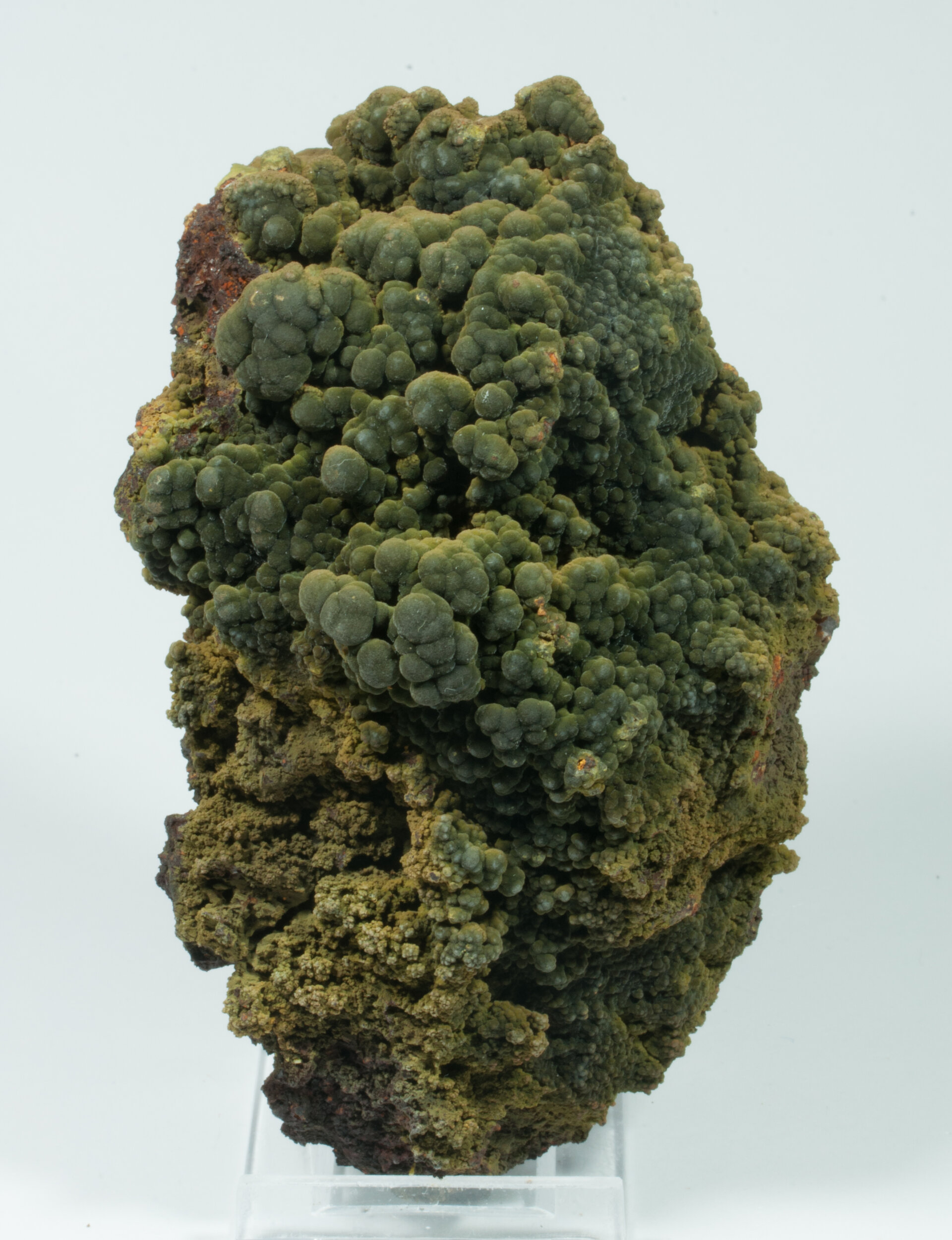 specimens/s_imagesCM/Mottramite-16TRA90_f.jpg